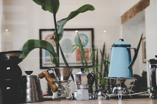 A variety of coffee-making equipment is displayed on a wooden countertop, surrounded by green potted plants. The items include a blue enamel kettle, a stainless steel pitcher, a glass coffee dripper, a moka pot, and several other coffee-related tools. In the background, blurred artwork and additional plant leaves add to the decor.