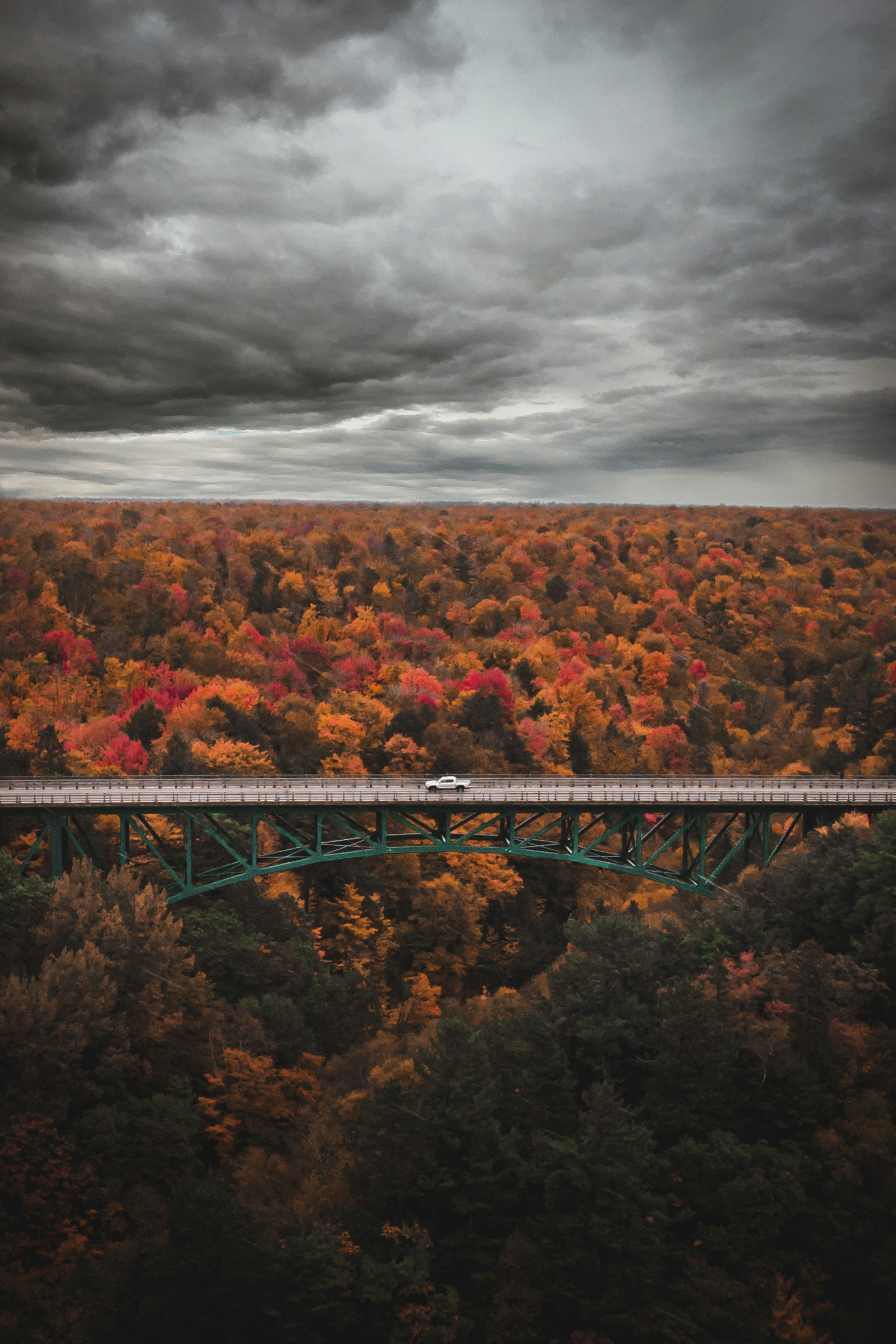 Un treno che viaggia su un ponte circondato da alberi
