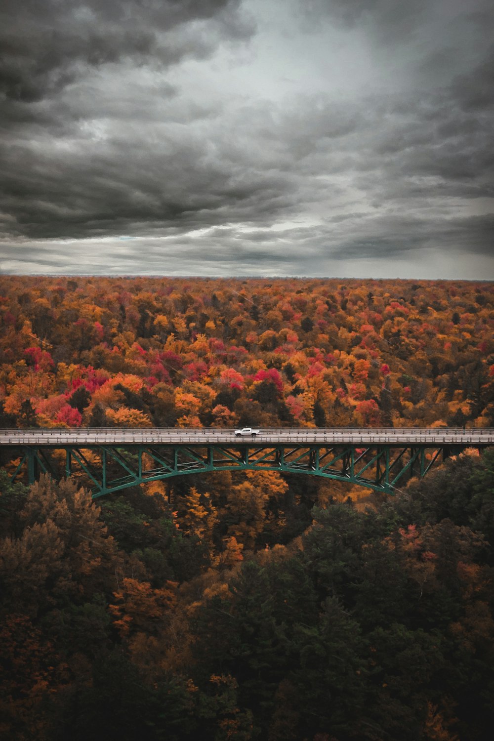 a train traveling over a bridge surrounded by trees