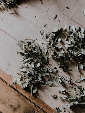 Bundles of dried eucalyptus leaves are spread across a textured surface, creating a rustic and natural composition.