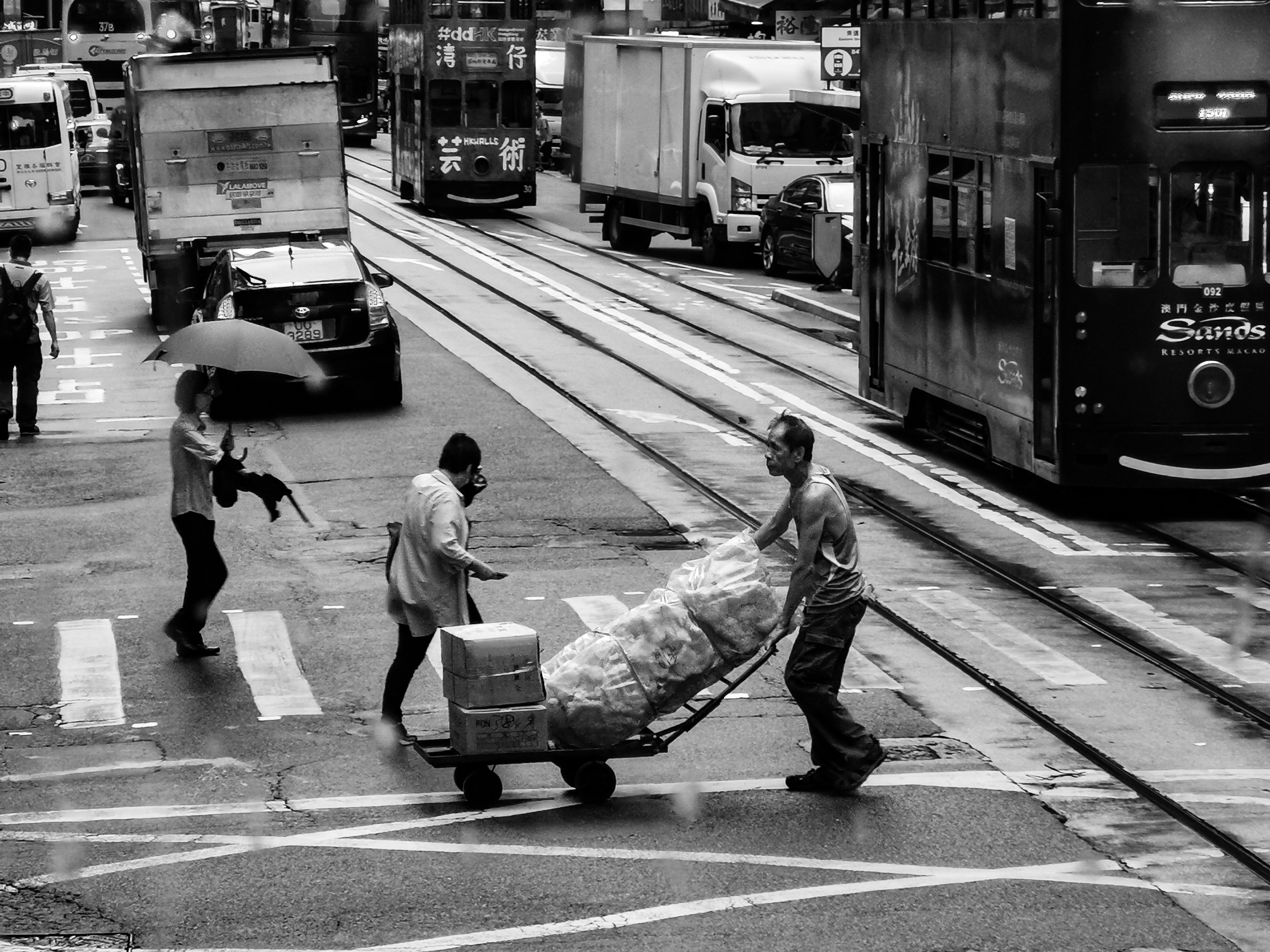 Photo by jeannerosegomez