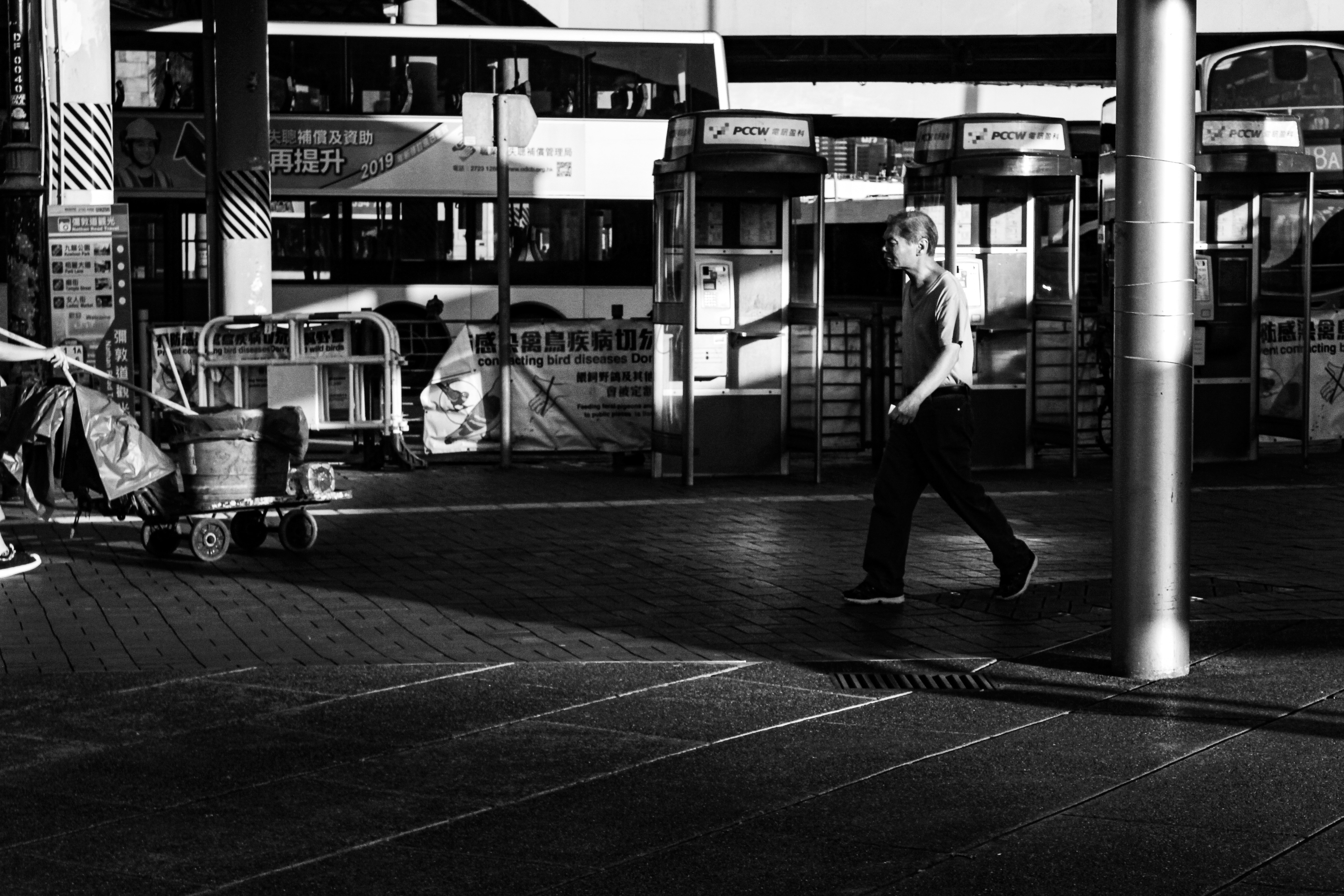 Photo by jeannerosegomez