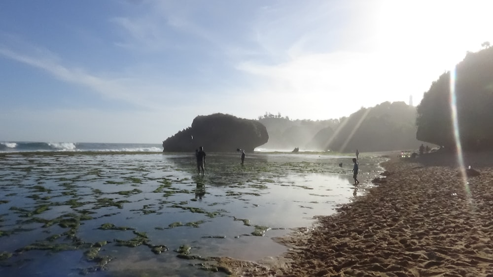 some people on body of water during daytime