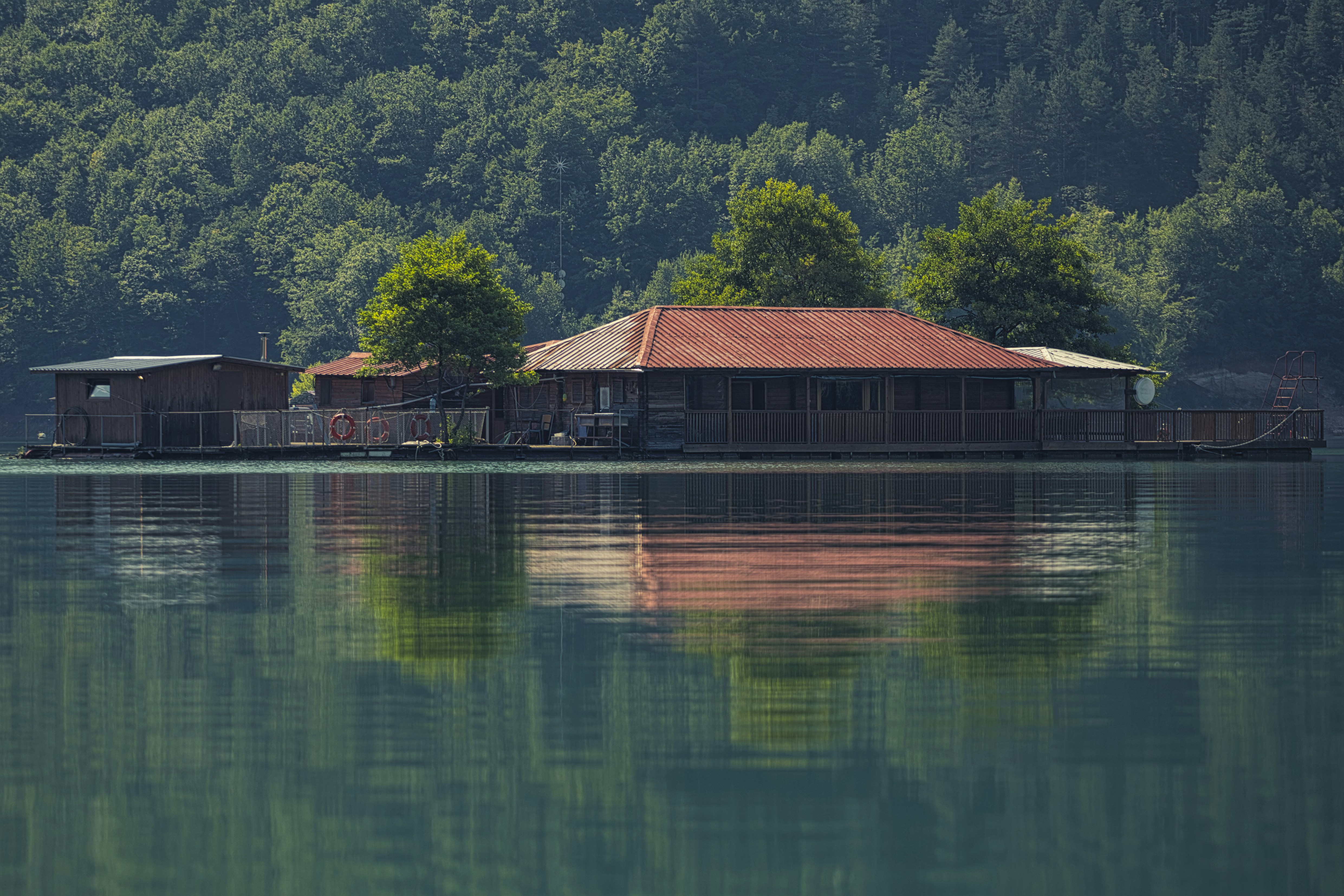 Photo by nikolayh