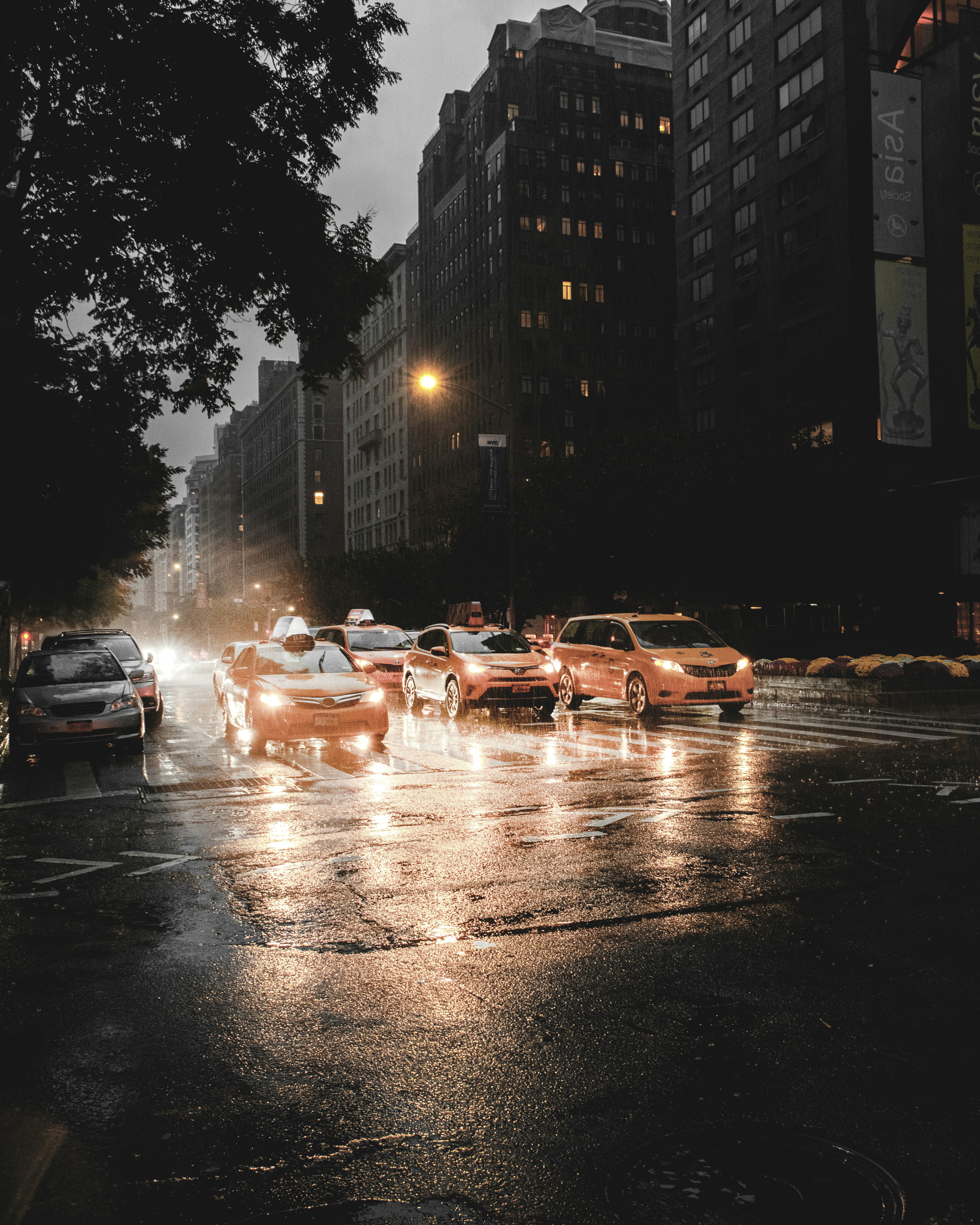 Photo by esteban__chinchilla