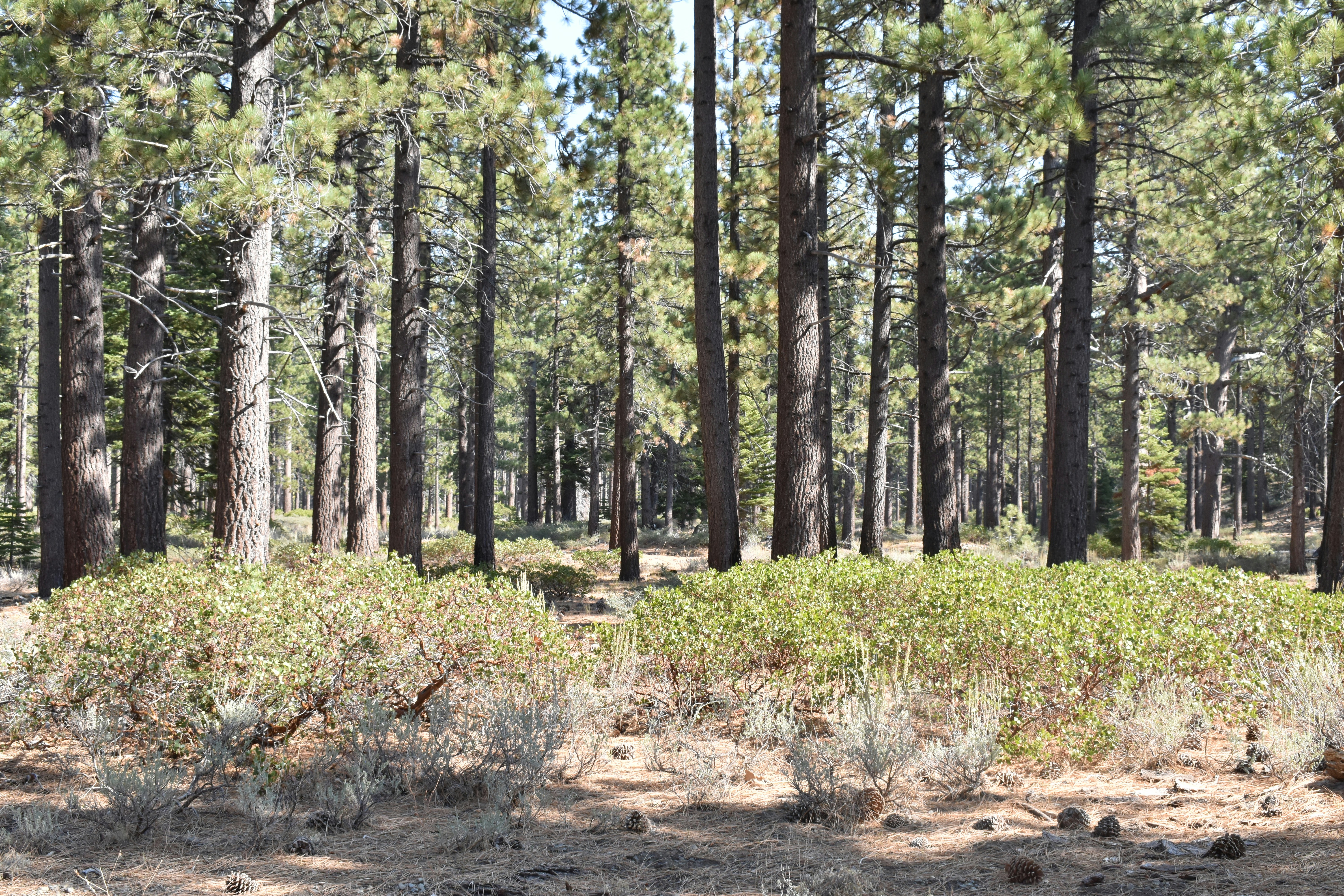 Photo by constantins123