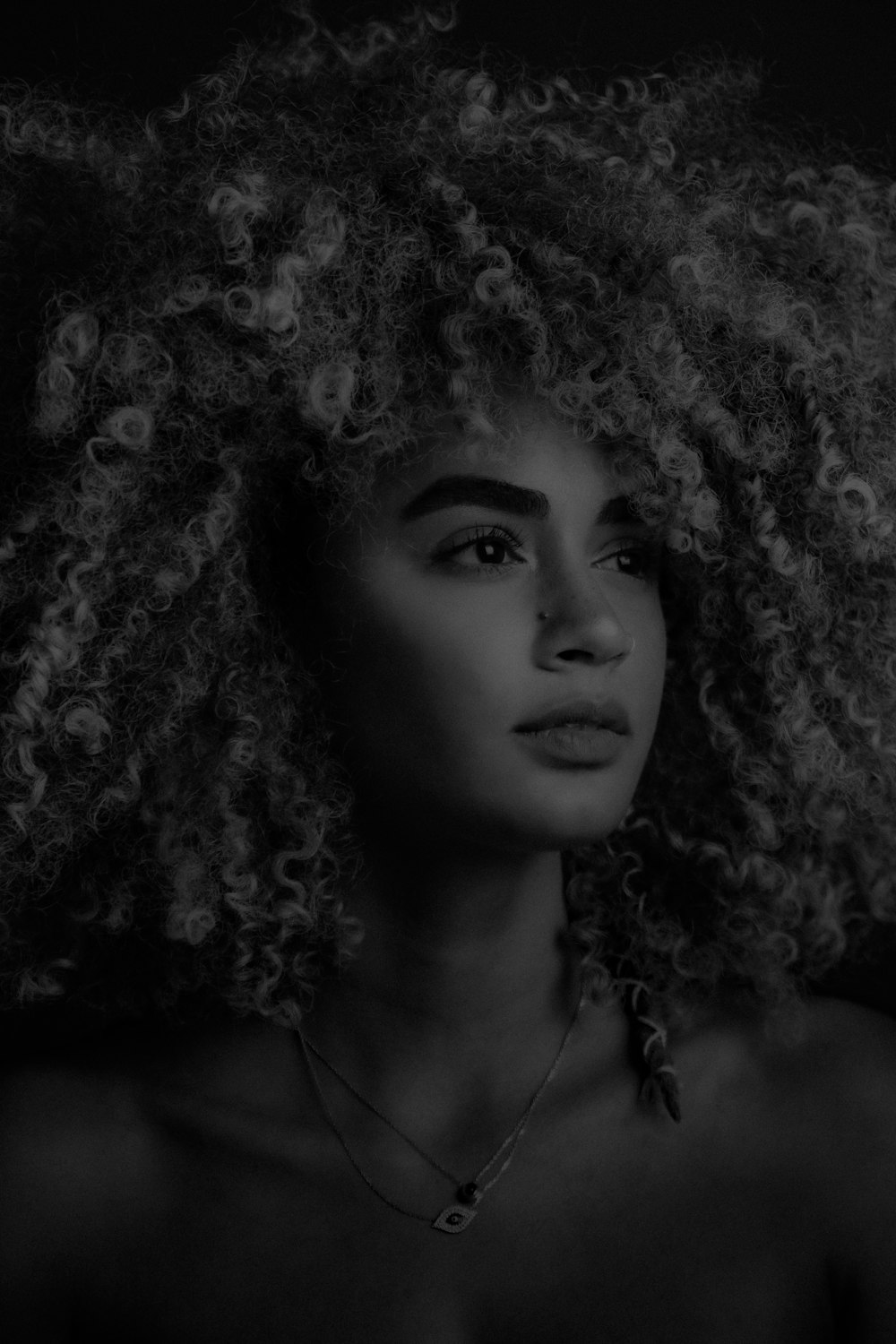 Photographie en niveaux de gris d’une femme aux seins nus avec un collier