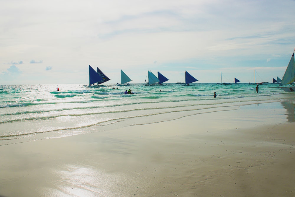 sailing boats on body of water