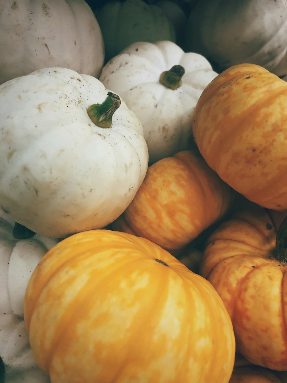 pile of pumpkins