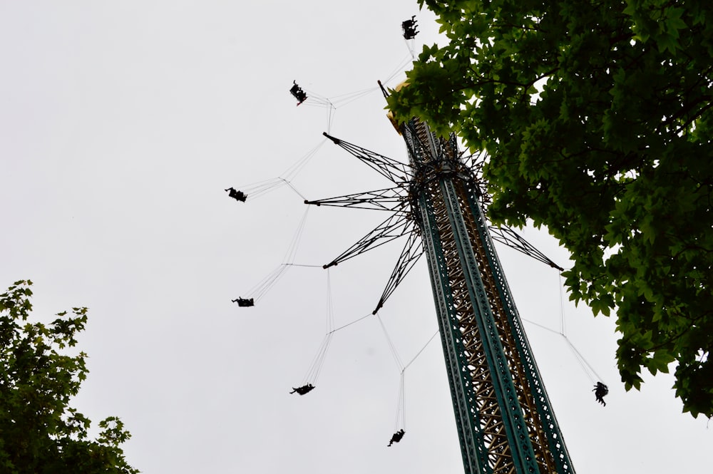 people riding cable swing