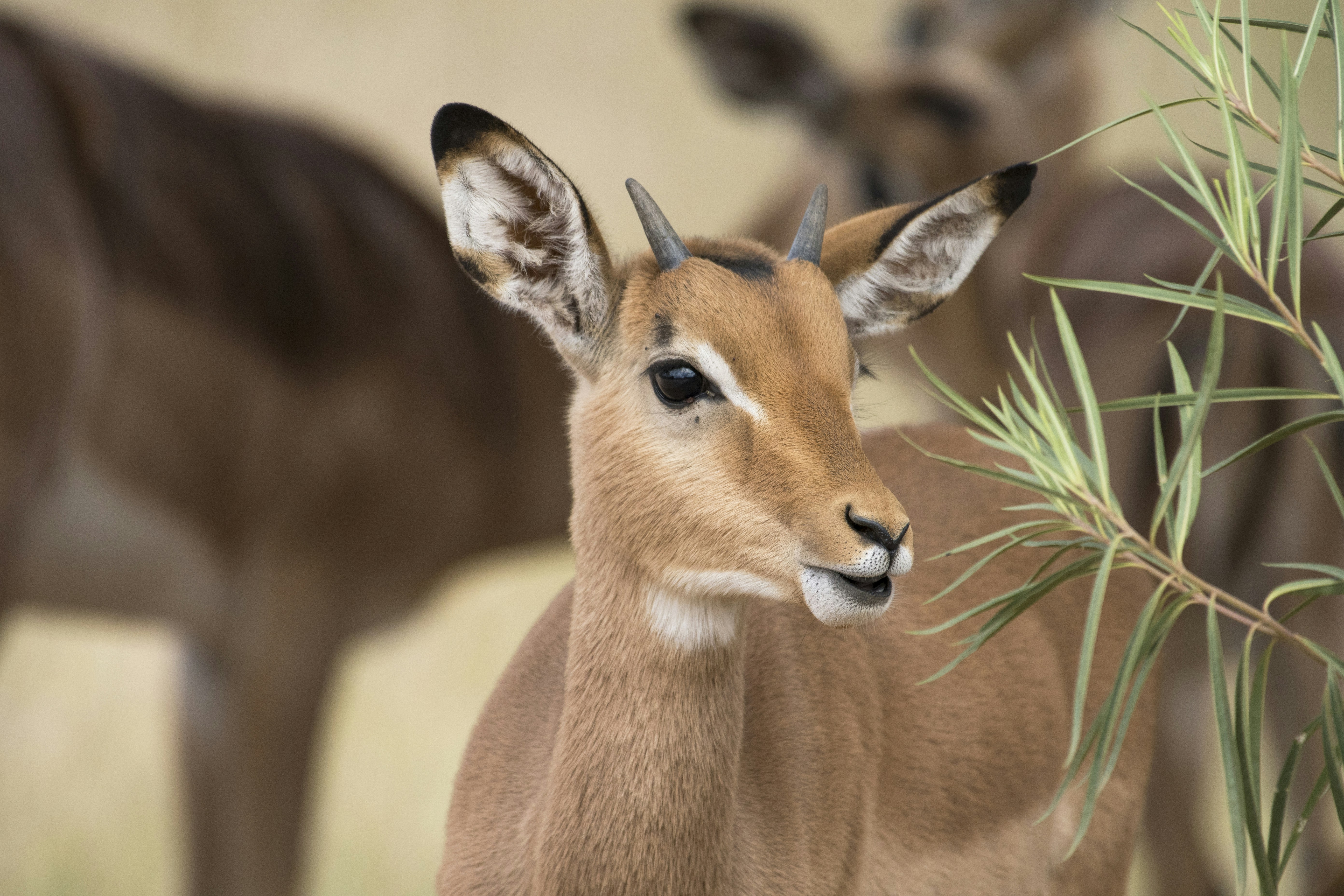 Photo by shauncolinbell