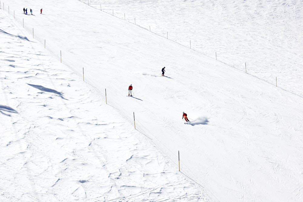 people skiing on snow