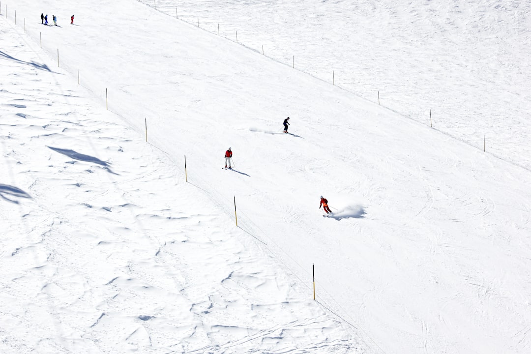 people skiing on snow, Skiing in Switzerland