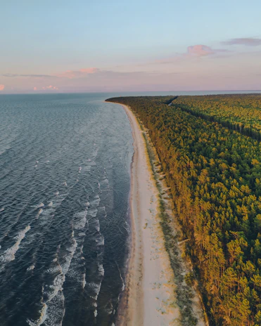 Aerial view of Garopaba coast with lush greenery and ocean waves at sunset