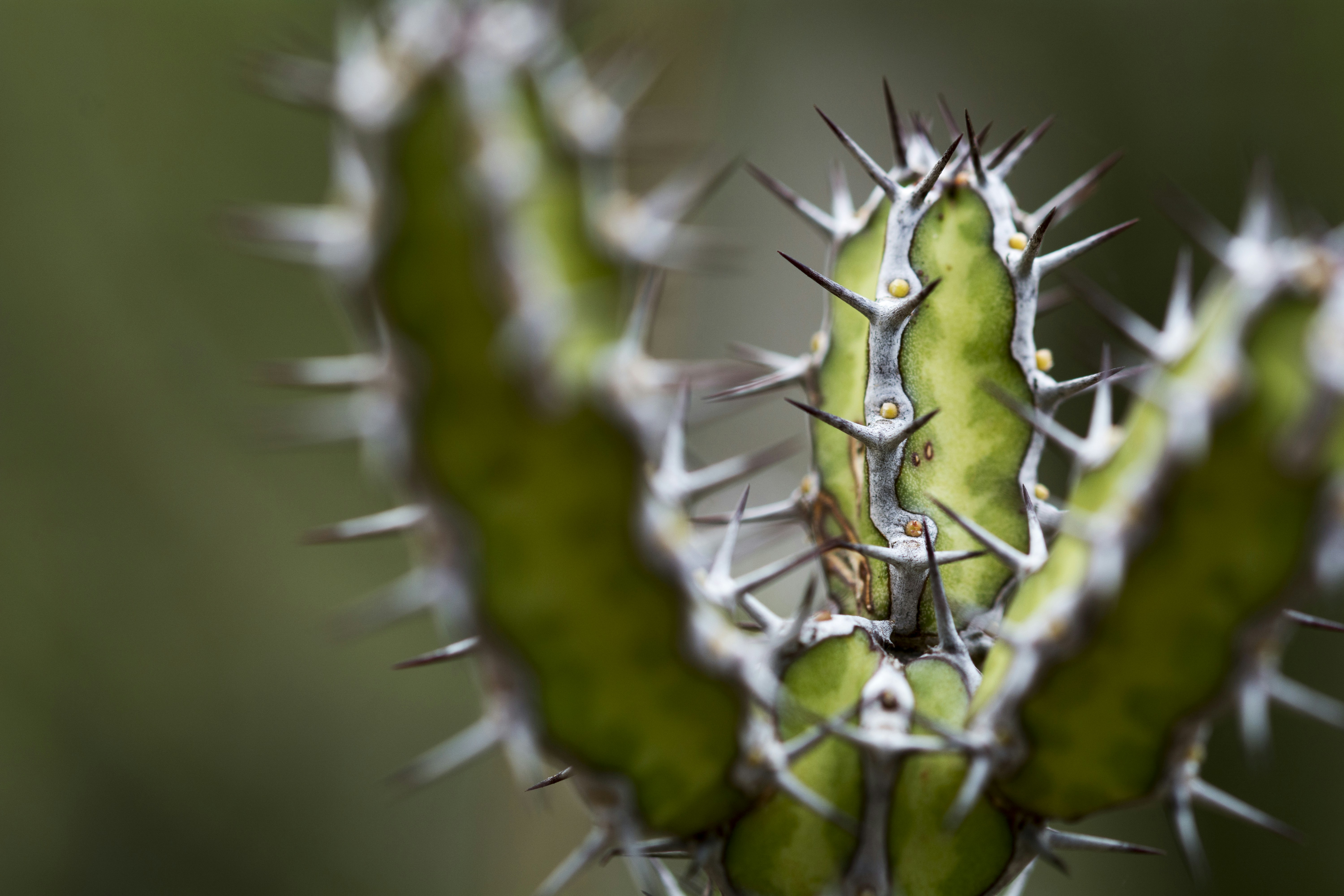 Photo by shauncolinbell