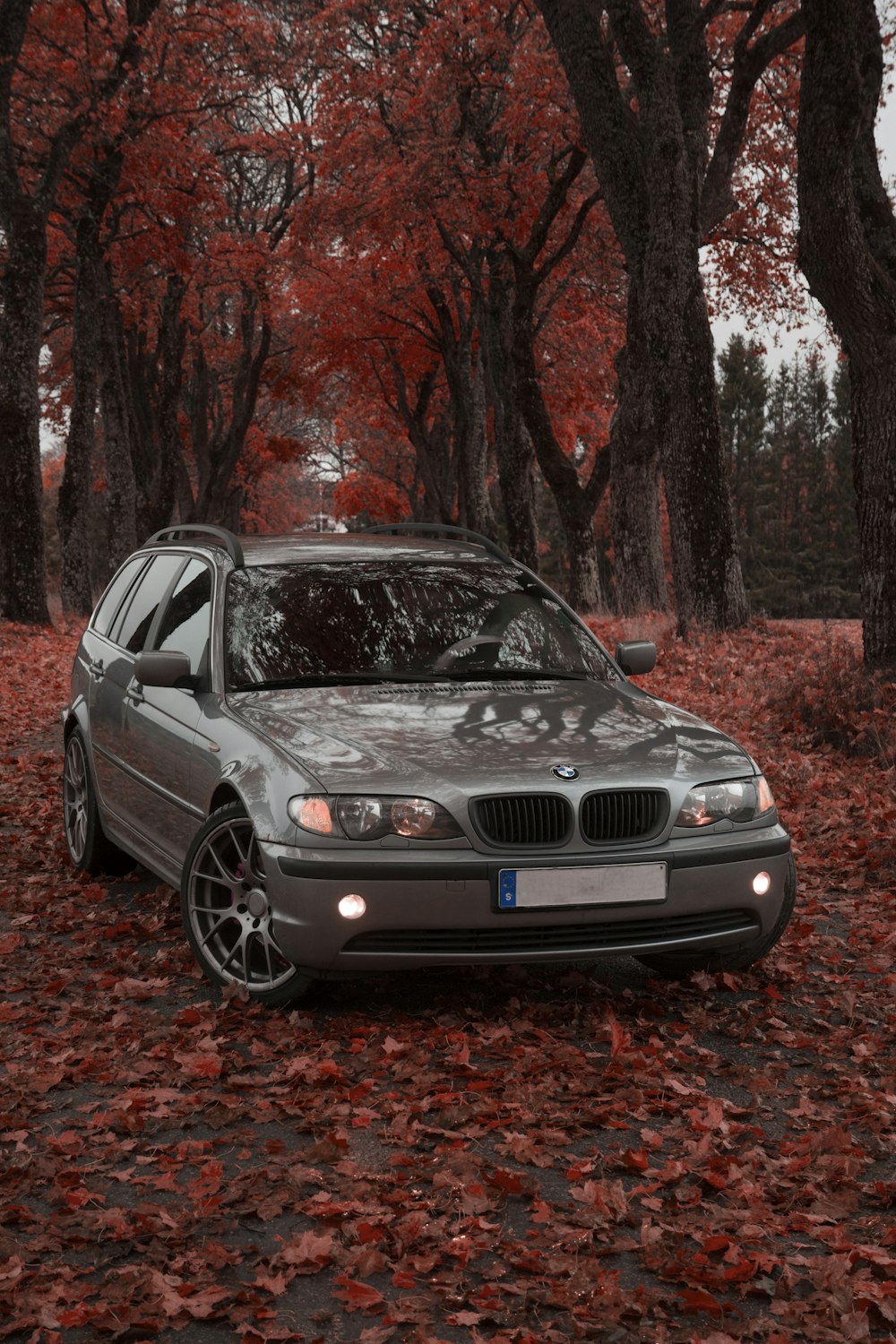 grey BMW car parked under trees