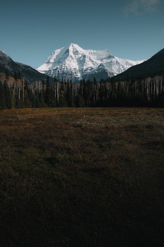Mount Robson things to do in Fraser-Fort George H