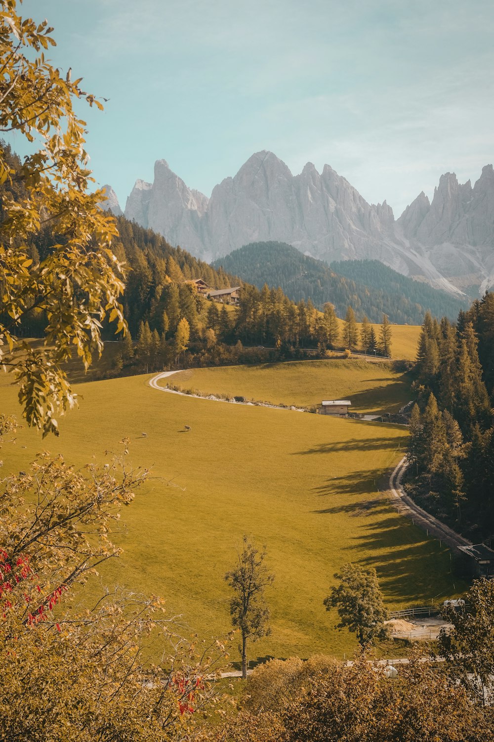 grass land with mountains background view during daytime