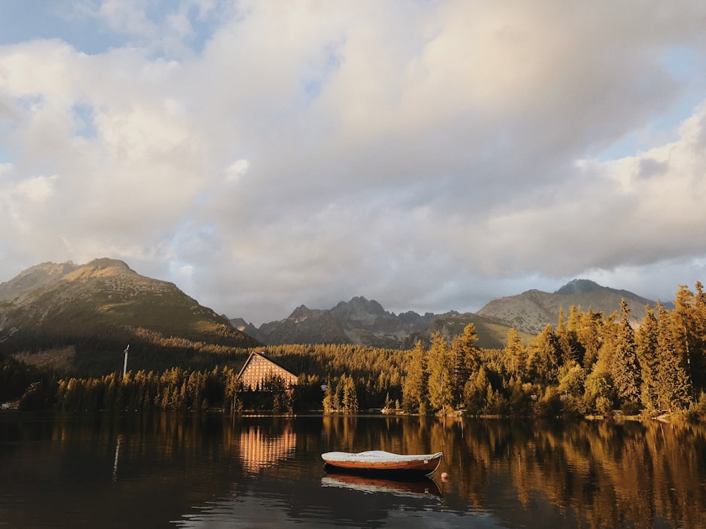 geren pine trees and white and brown canoe boat