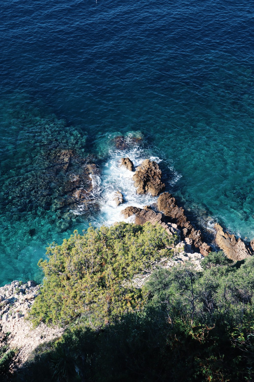 green island scenery