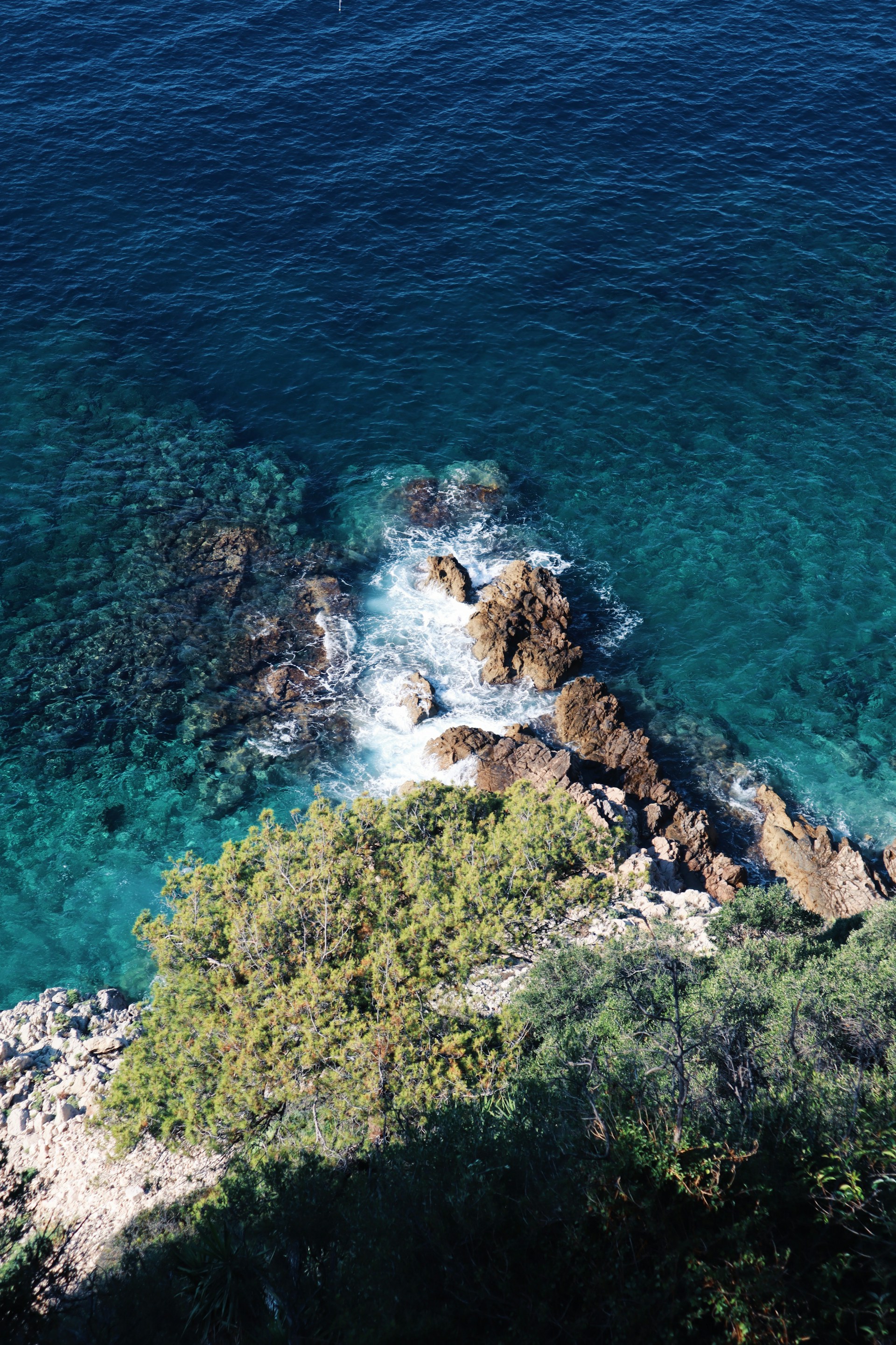 green island scenery