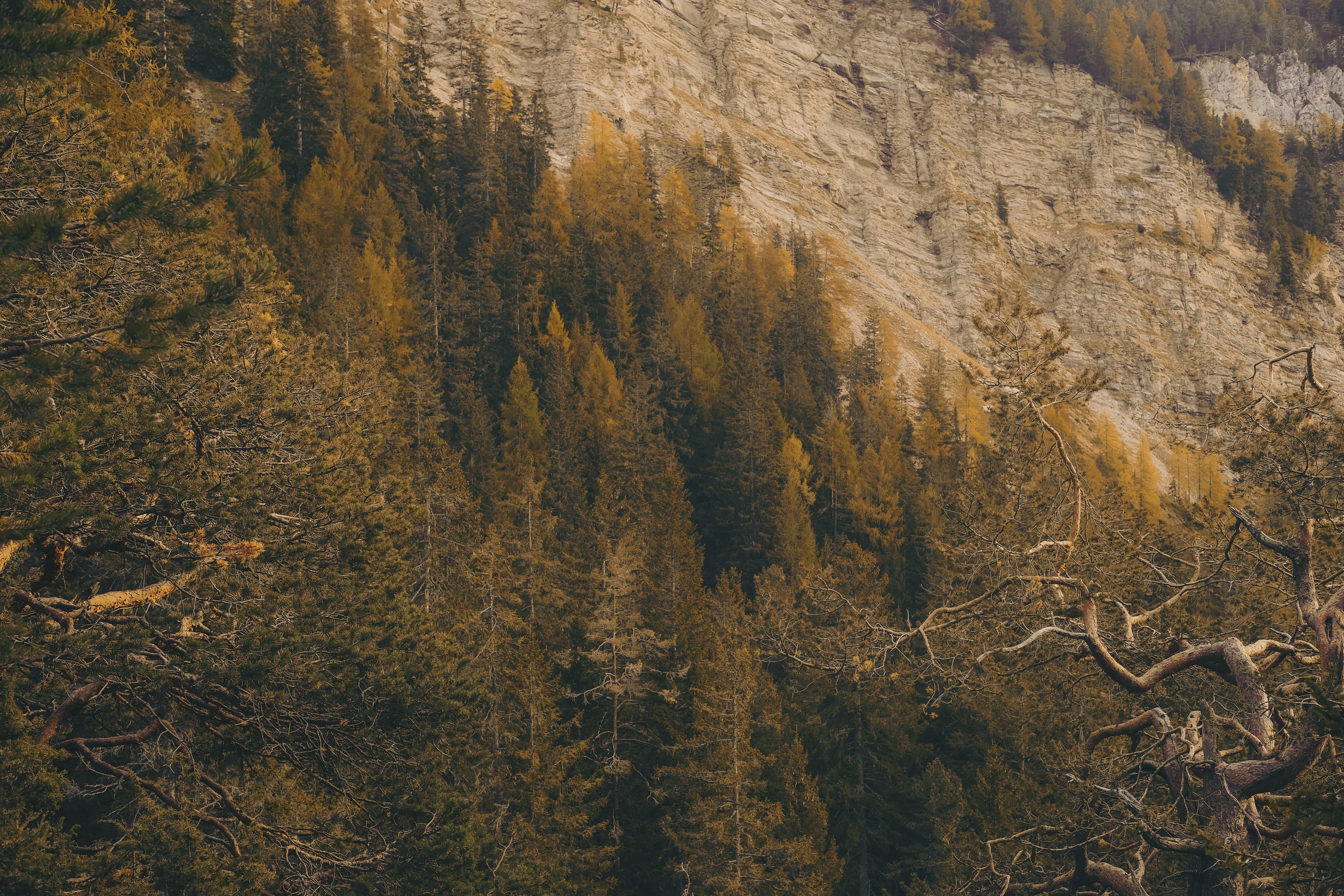 Photo by cristina_gottardi