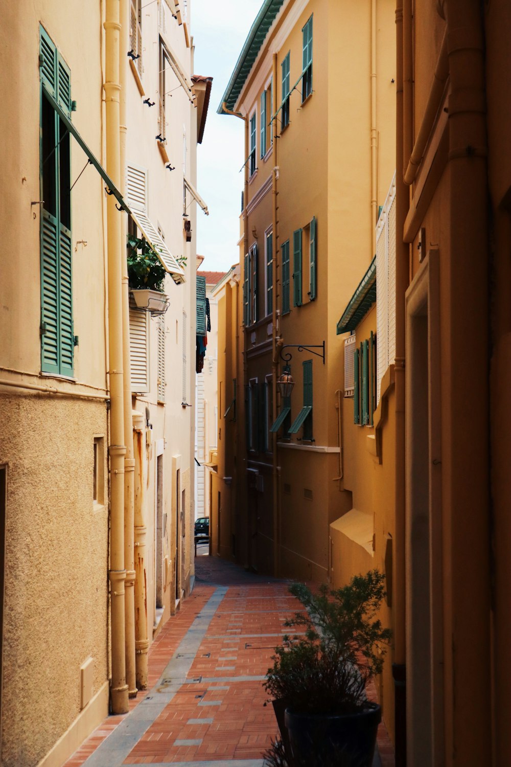 brown buildings