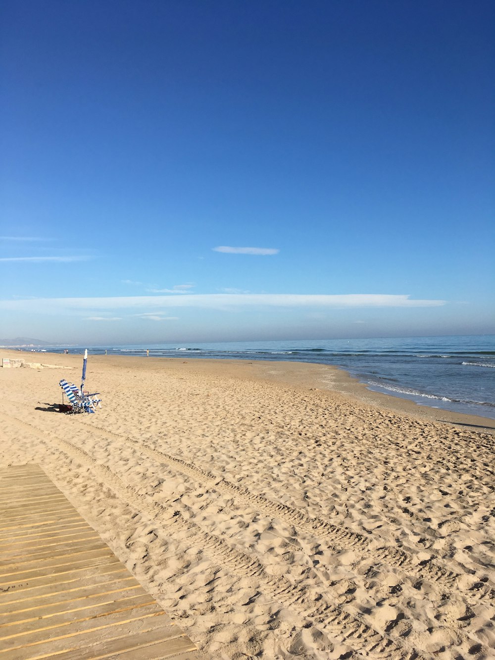 seashore at daytime