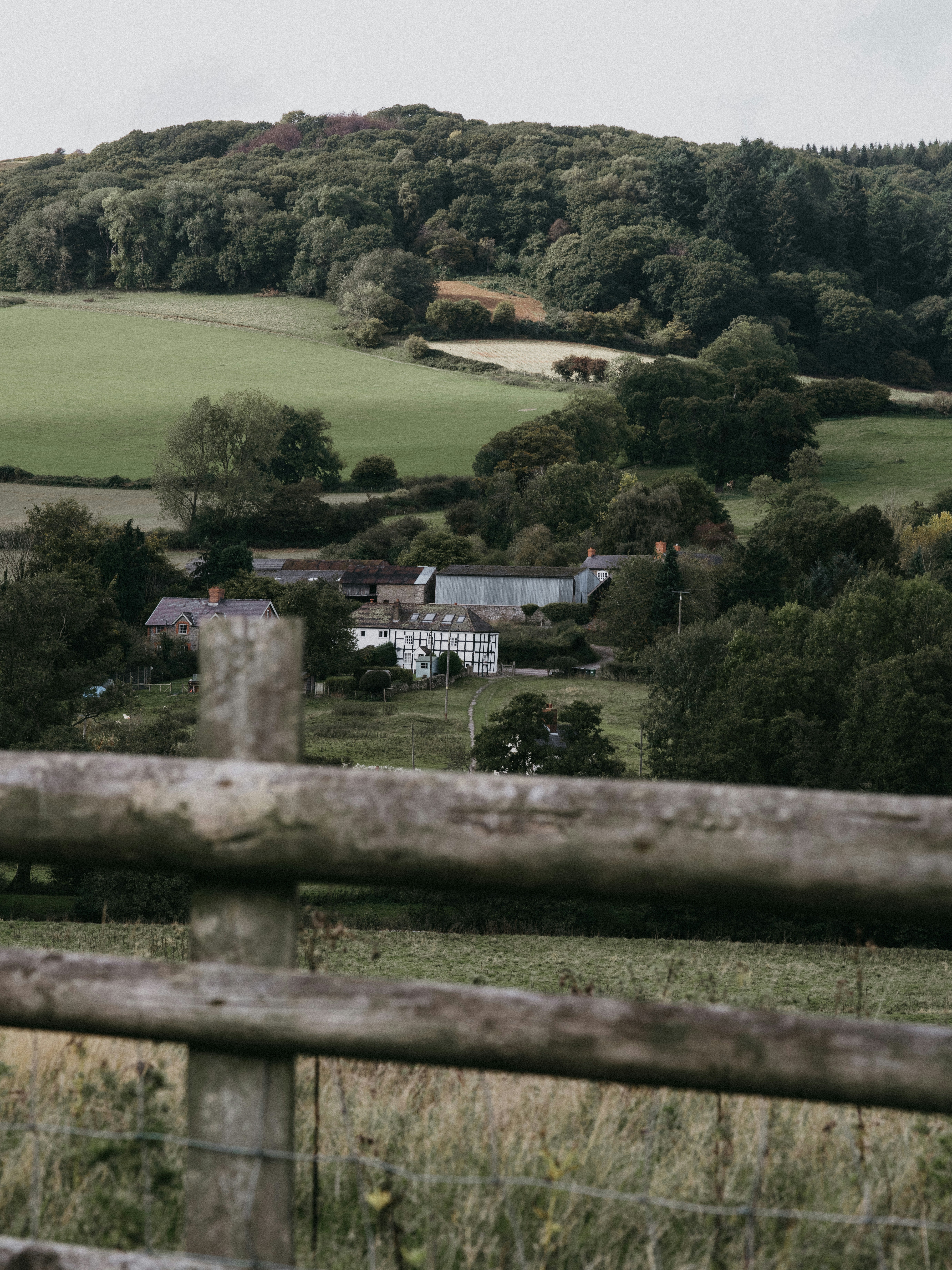 Photo by anniespratt