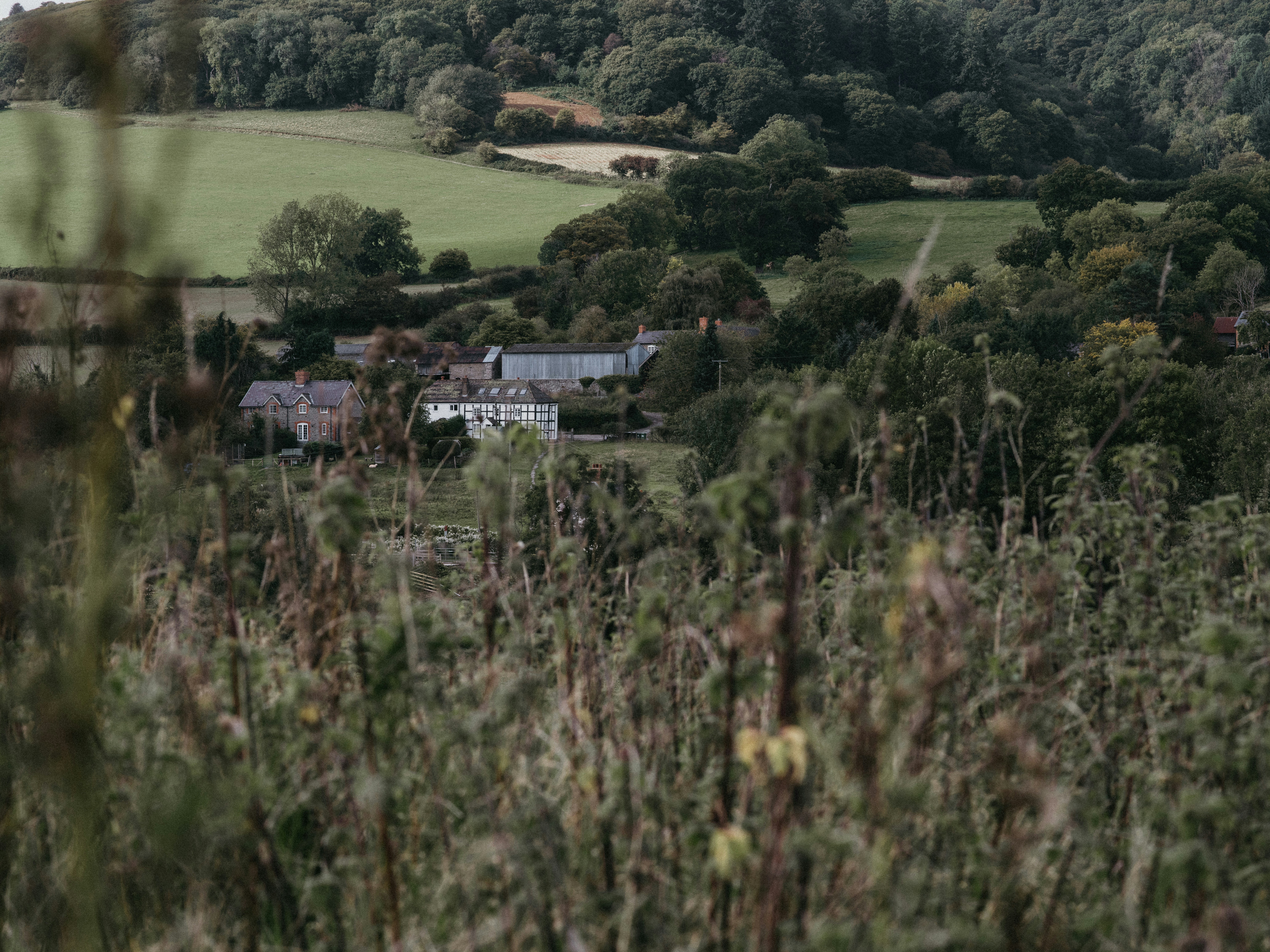 Photo by anniespratt