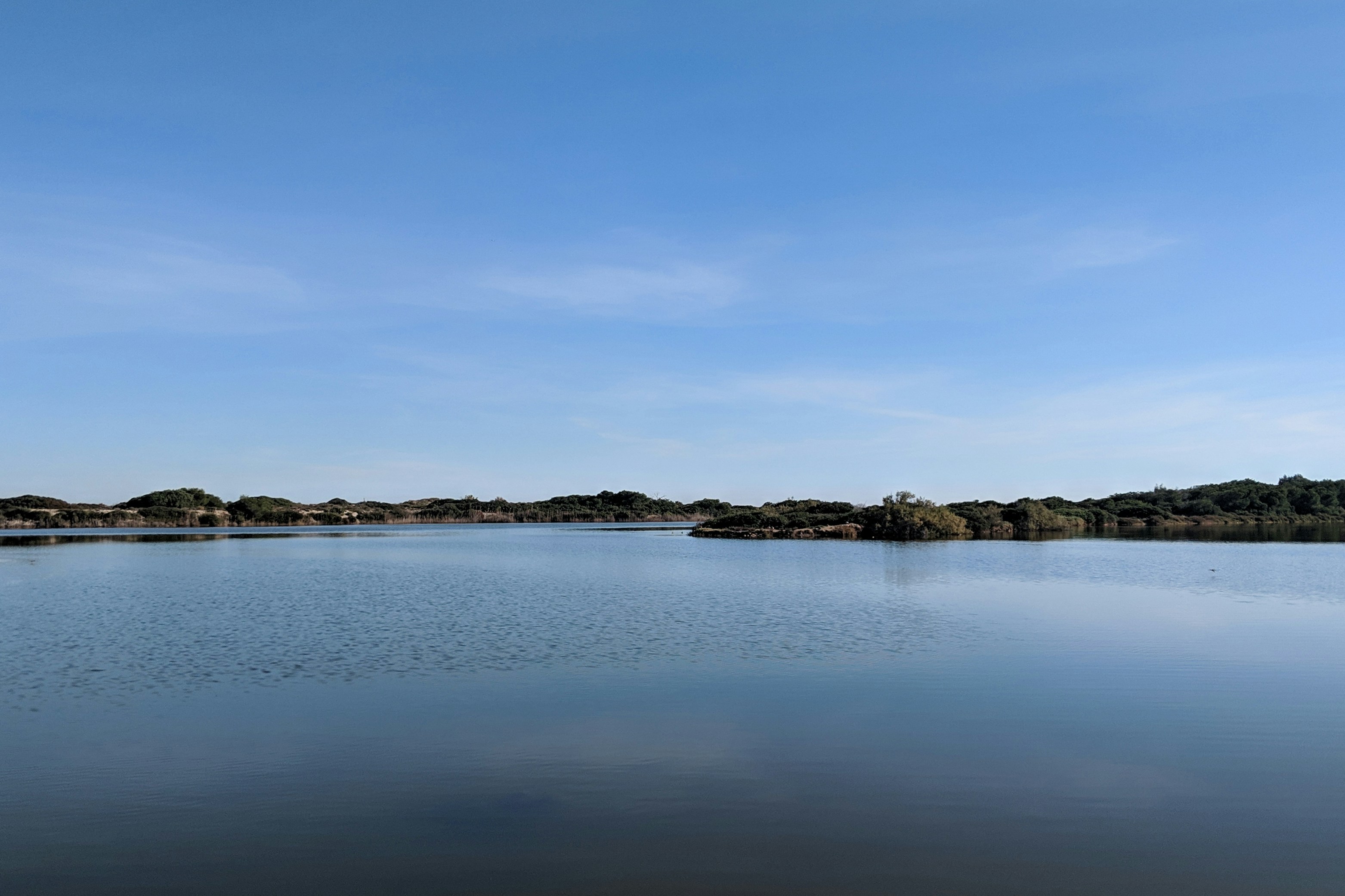 Photo by markuswinkler