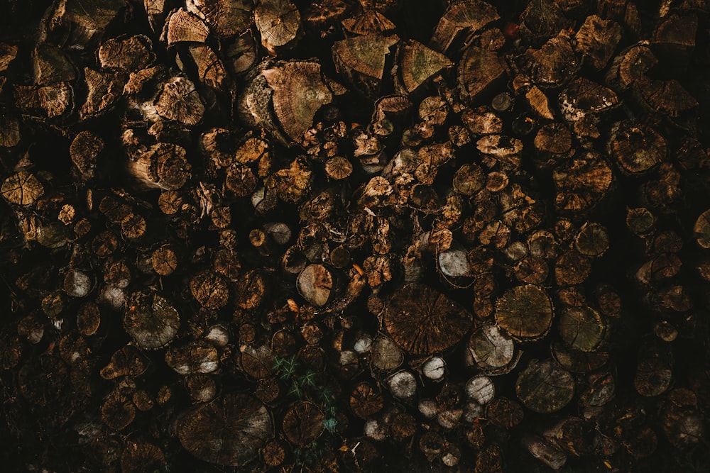 a pile of wood sitting on top of a pile of dirt