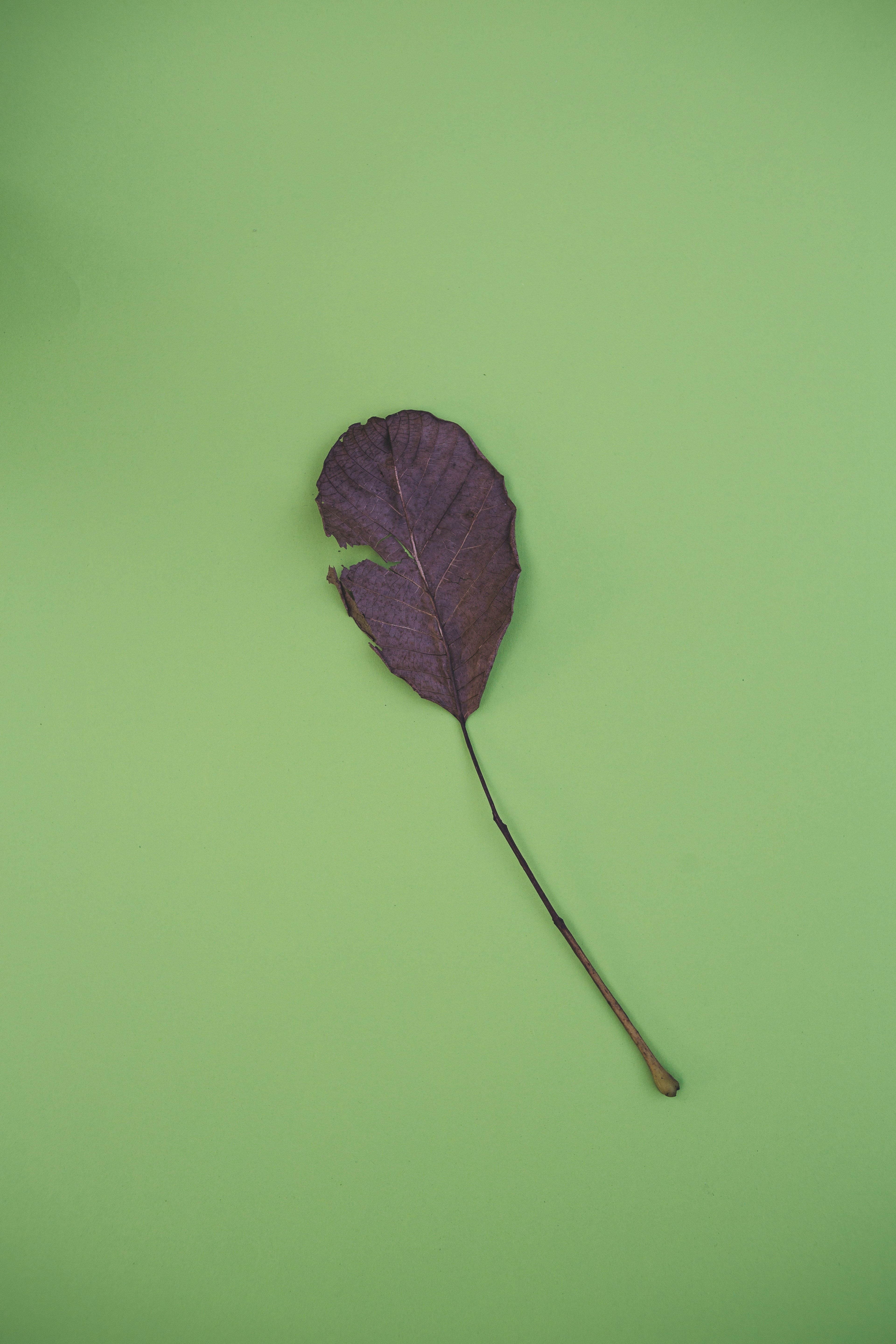 Photo by markusspiske