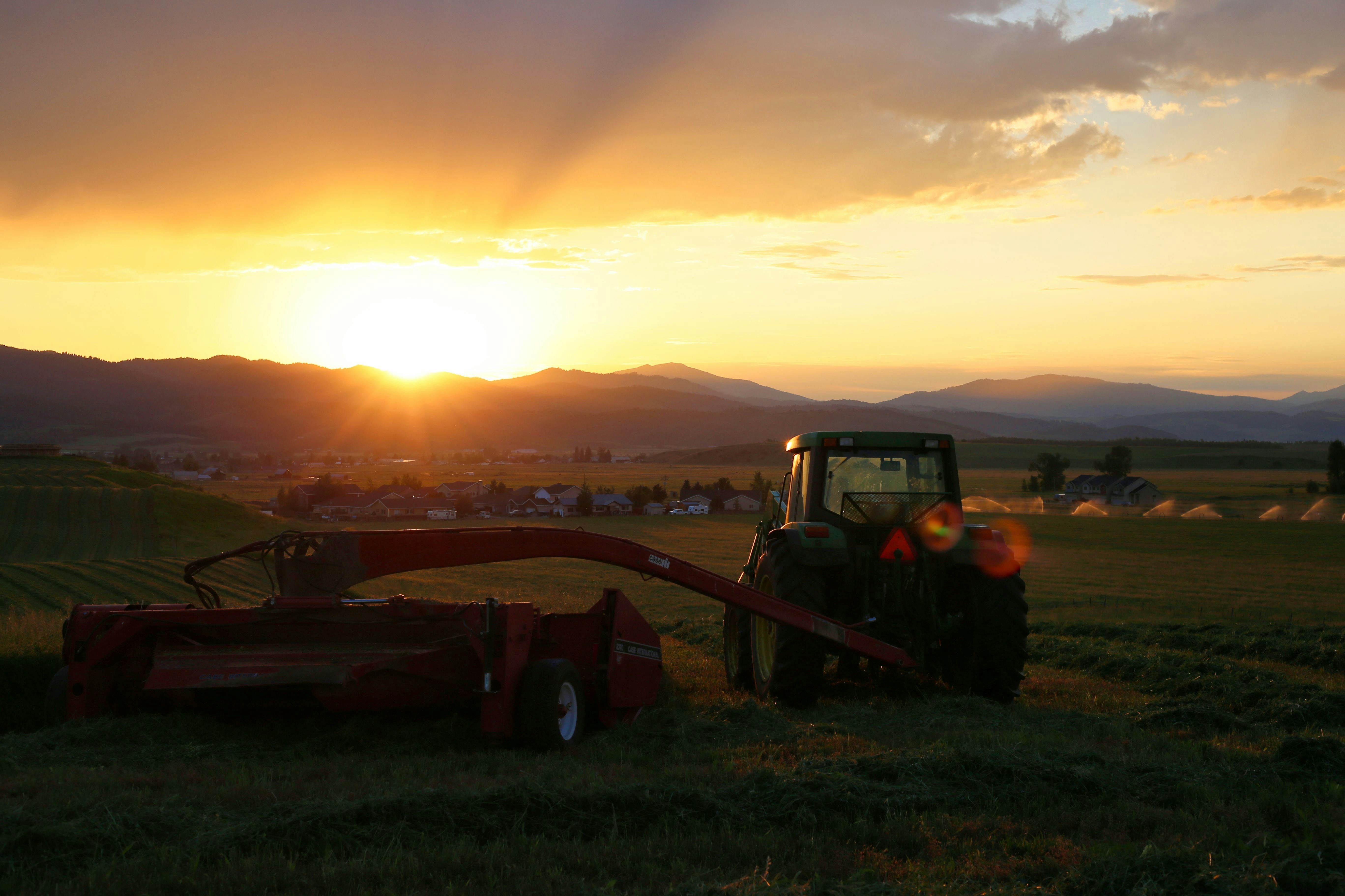 Farm landscape at sunset