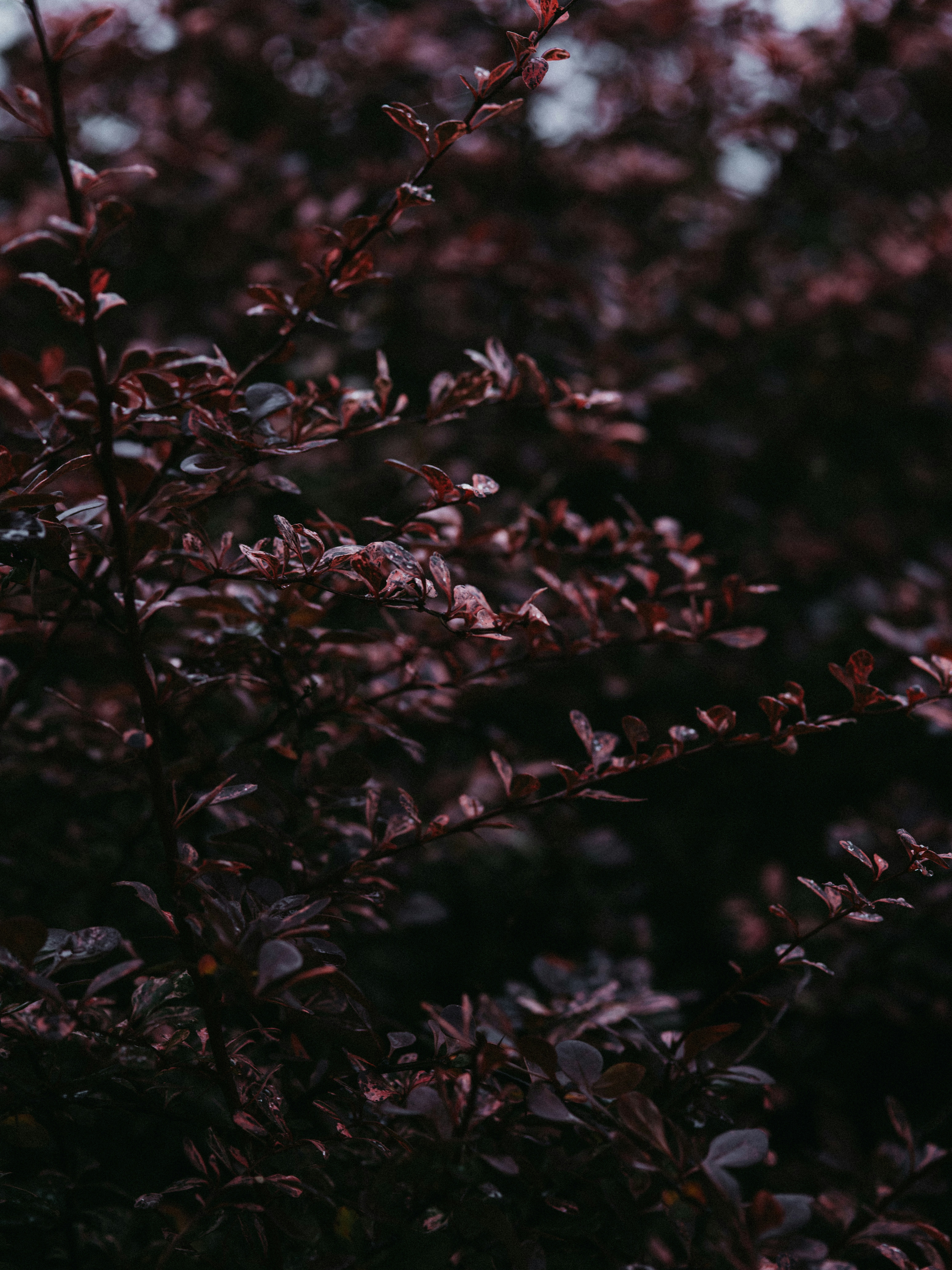 Photo by anniespratt