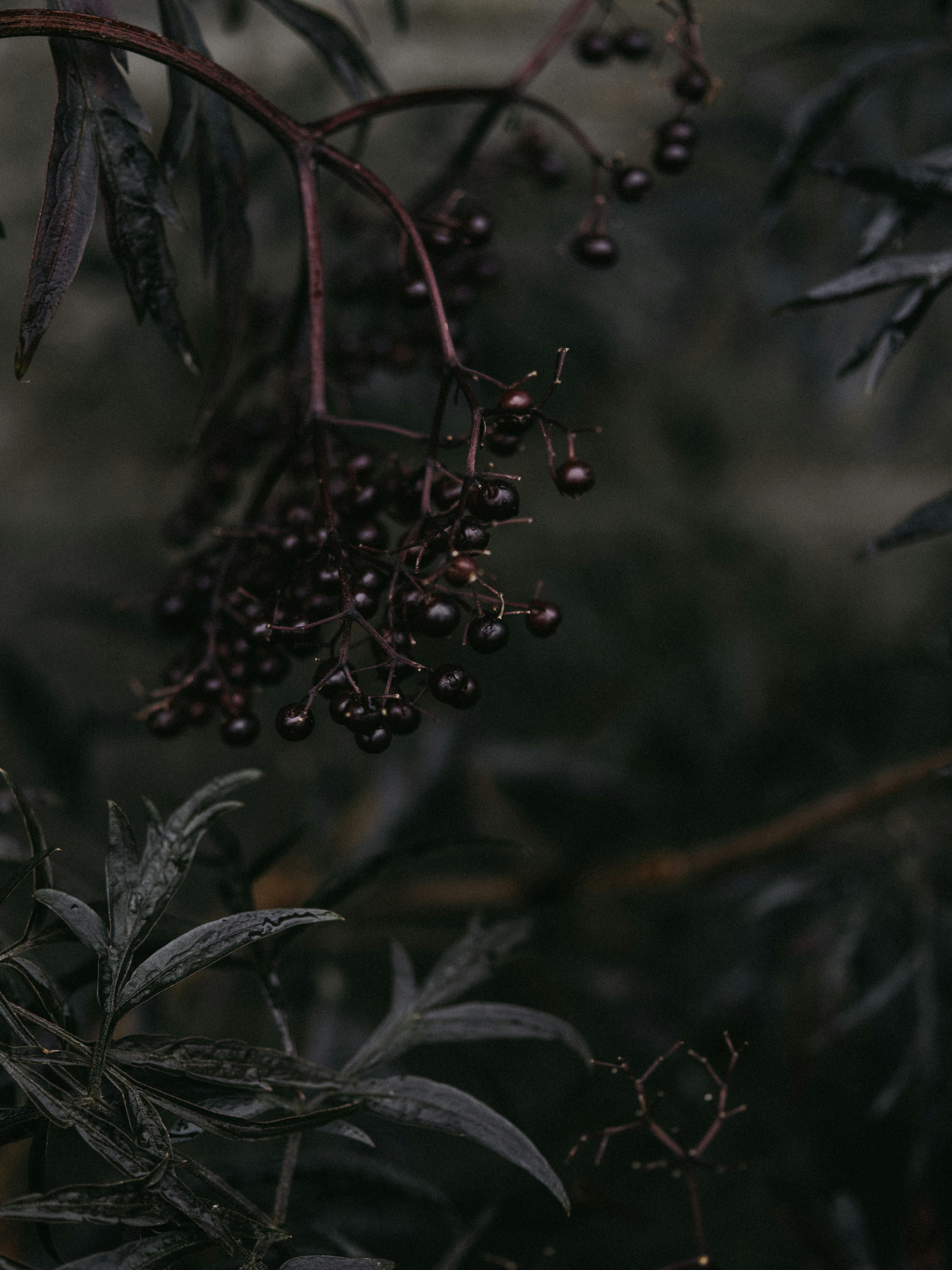 Photo by anniespratt