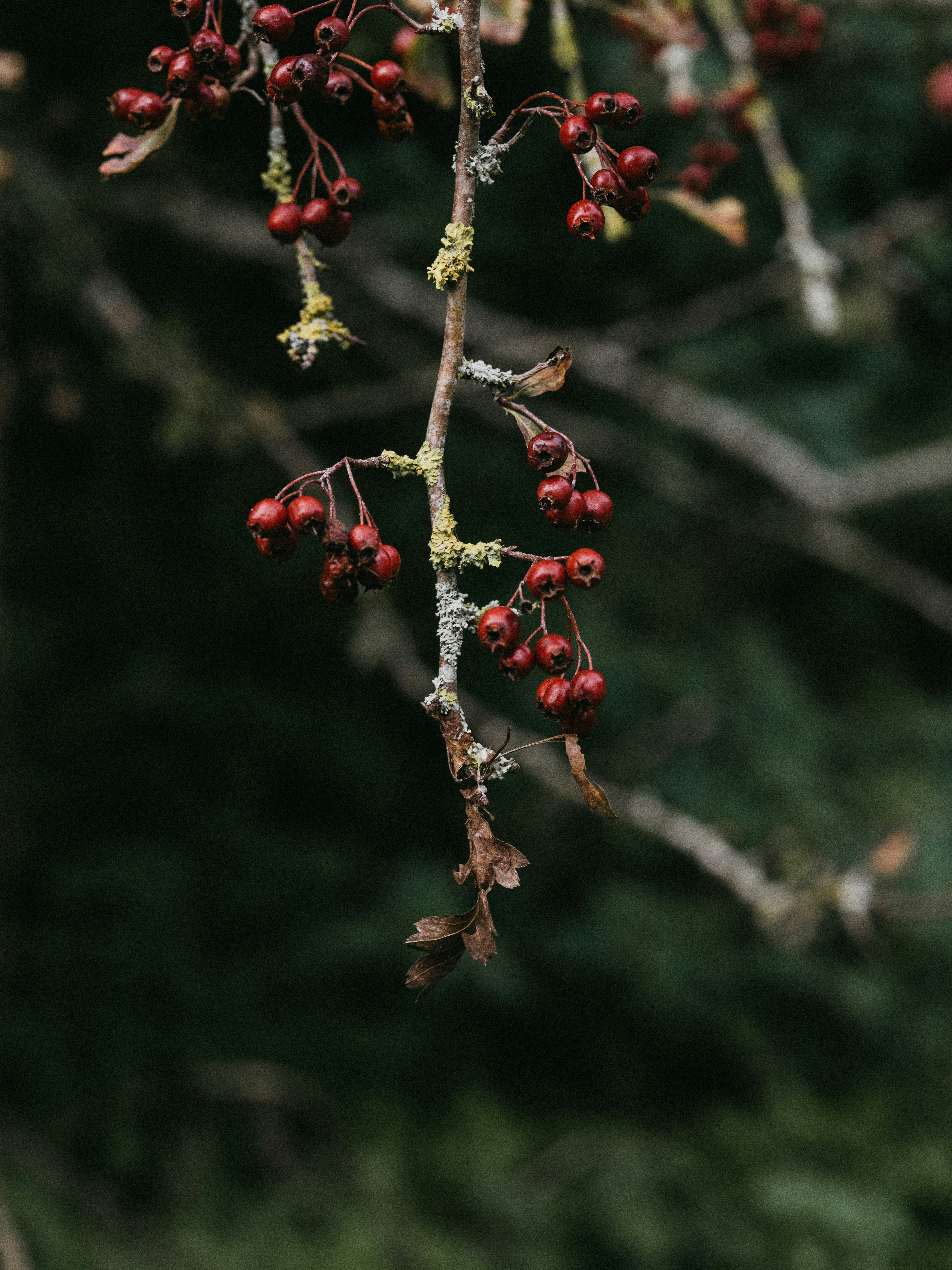 Photo by anniespratt