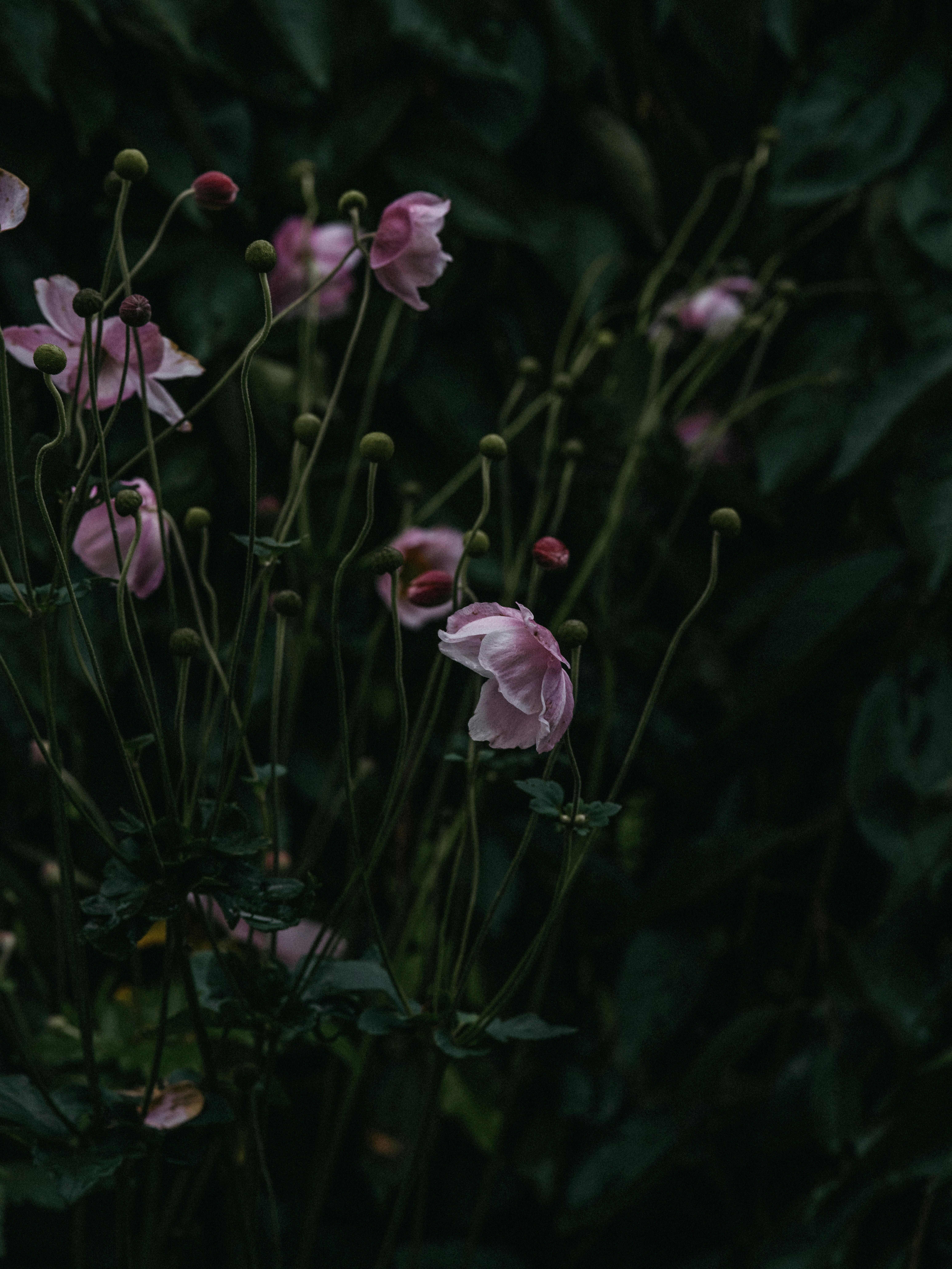 Photo by anniespratt