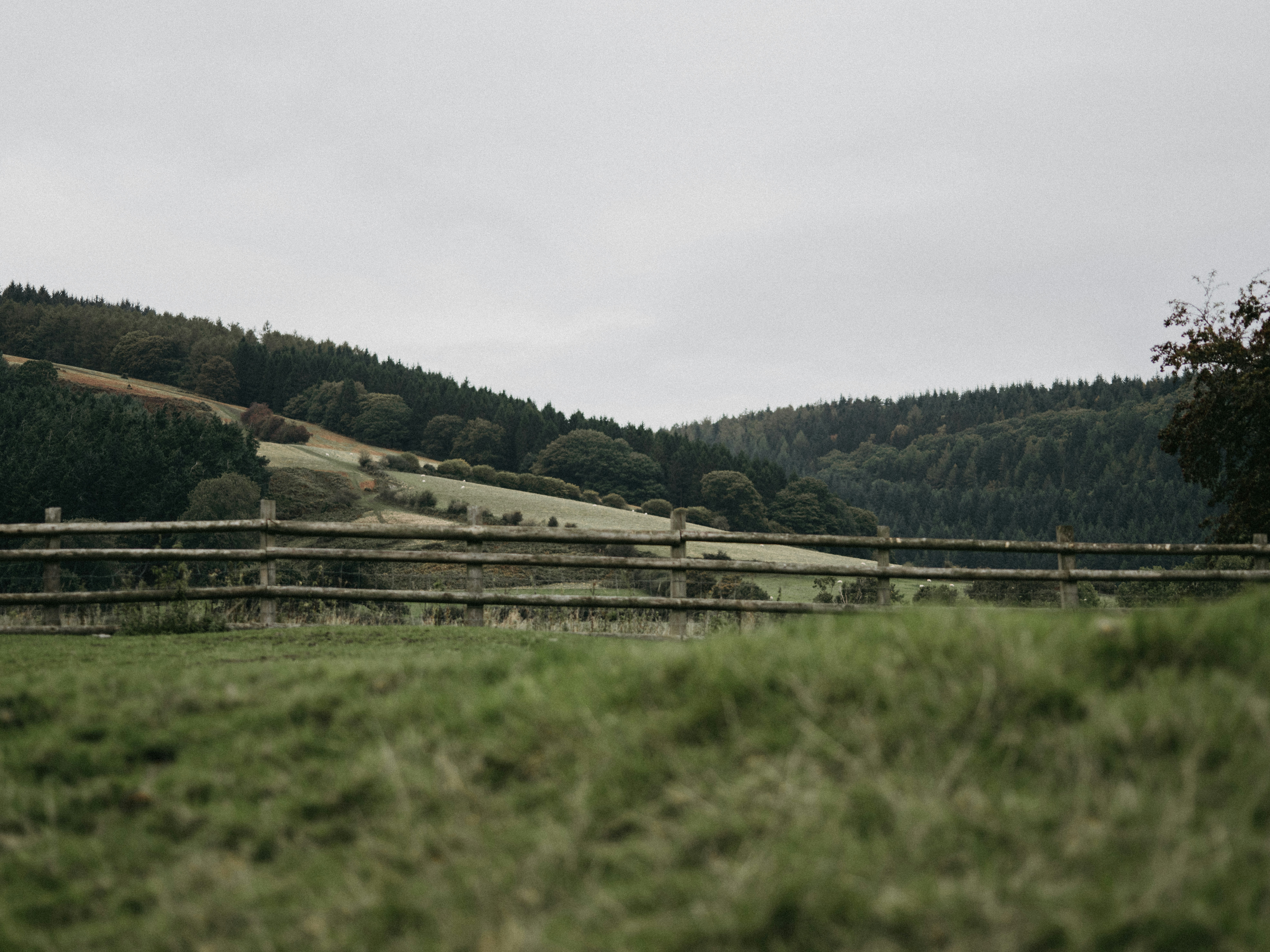 Photo by anniespratt