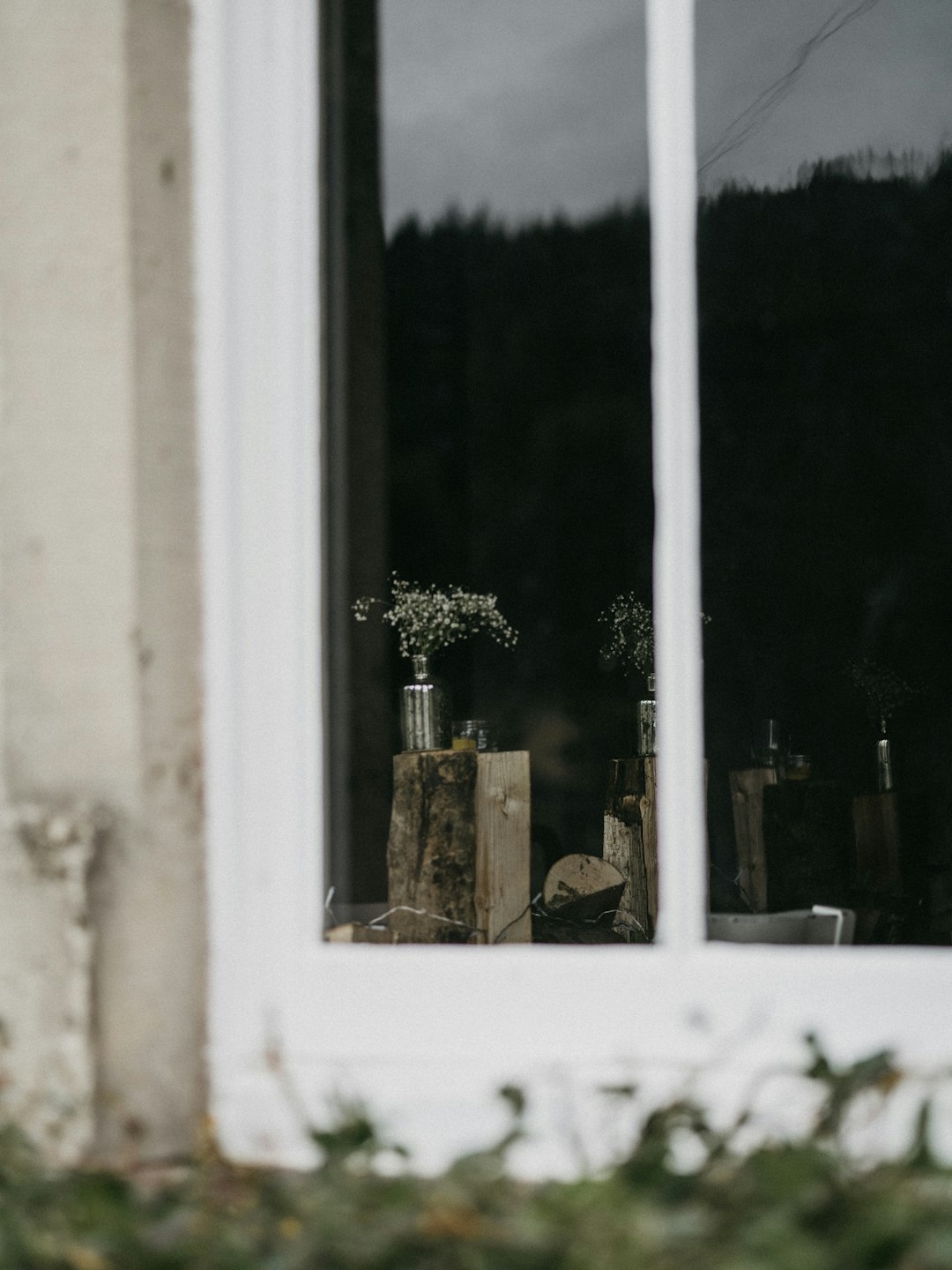 white-petaled flowers in vase on window