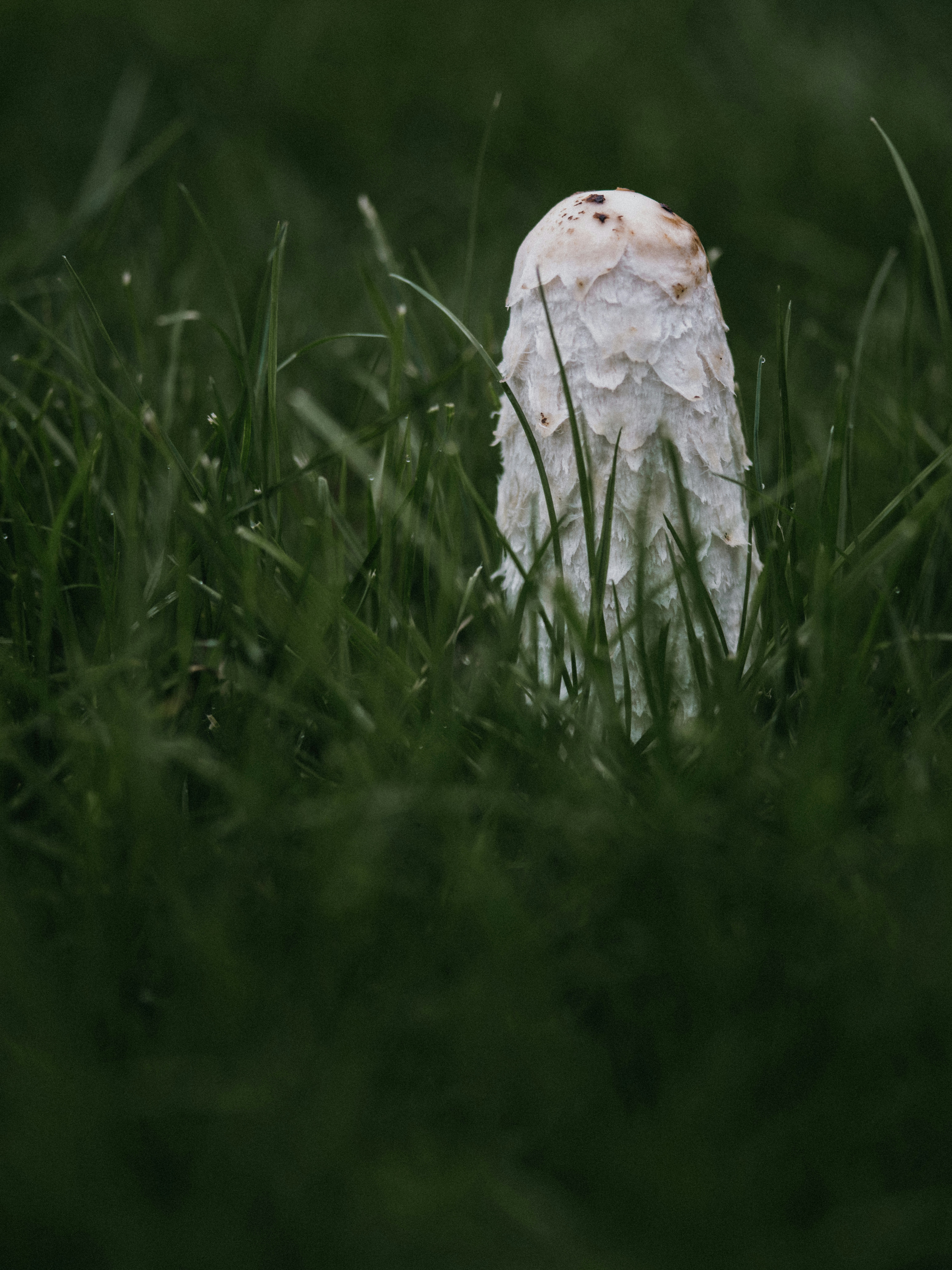 Photo by anniespratt