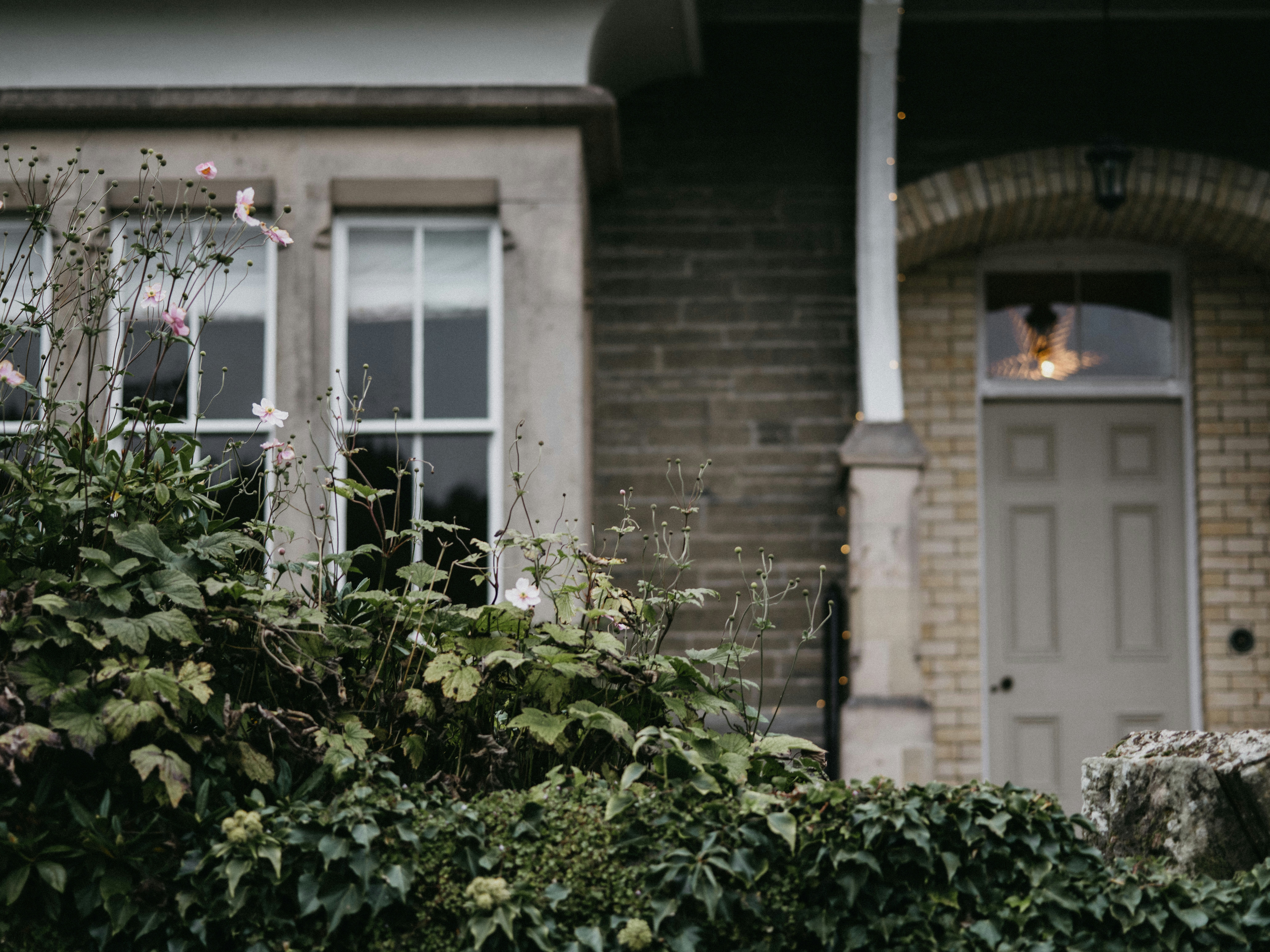 Photo by anniespratt