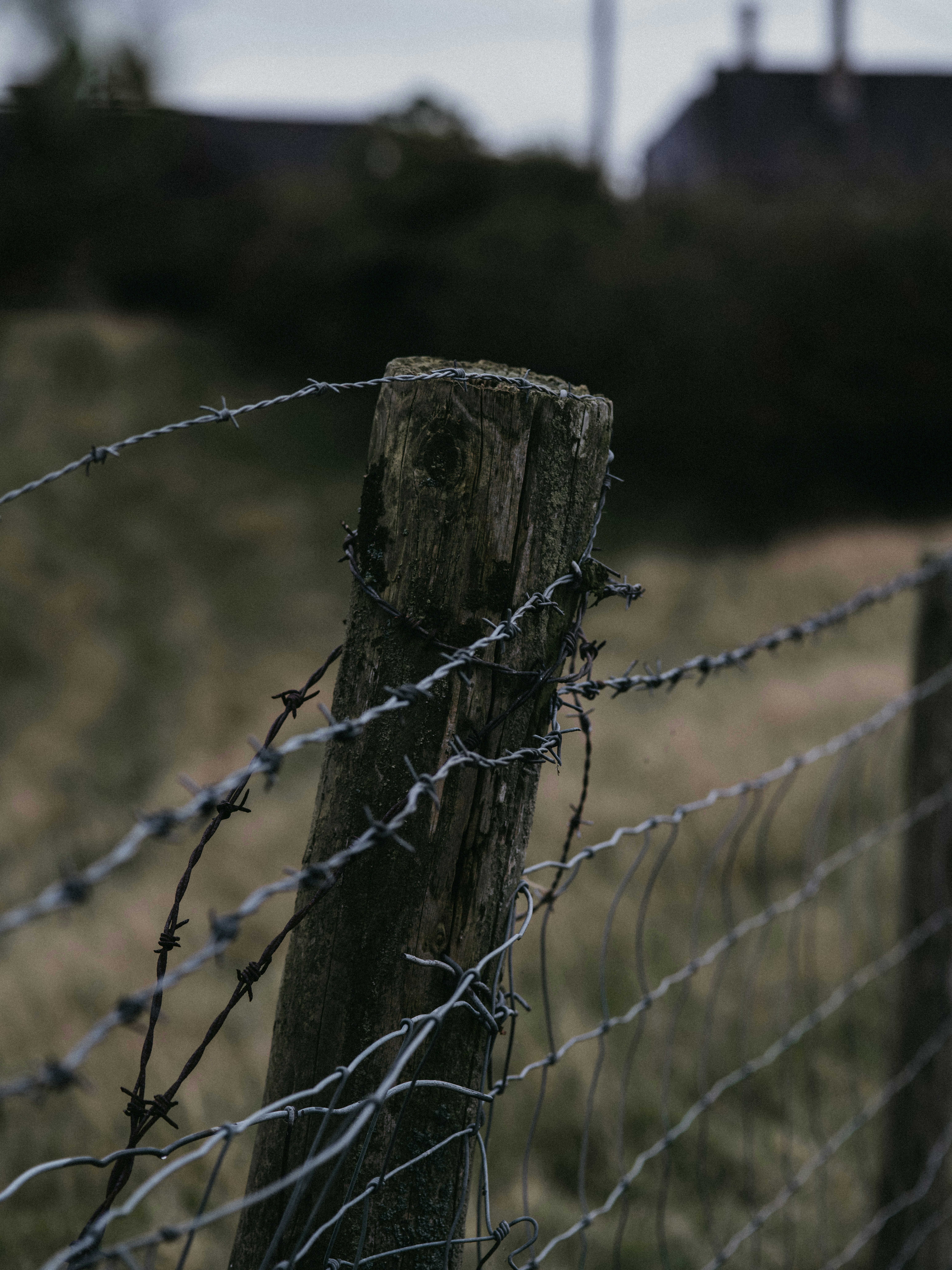 Photo by anniespratt