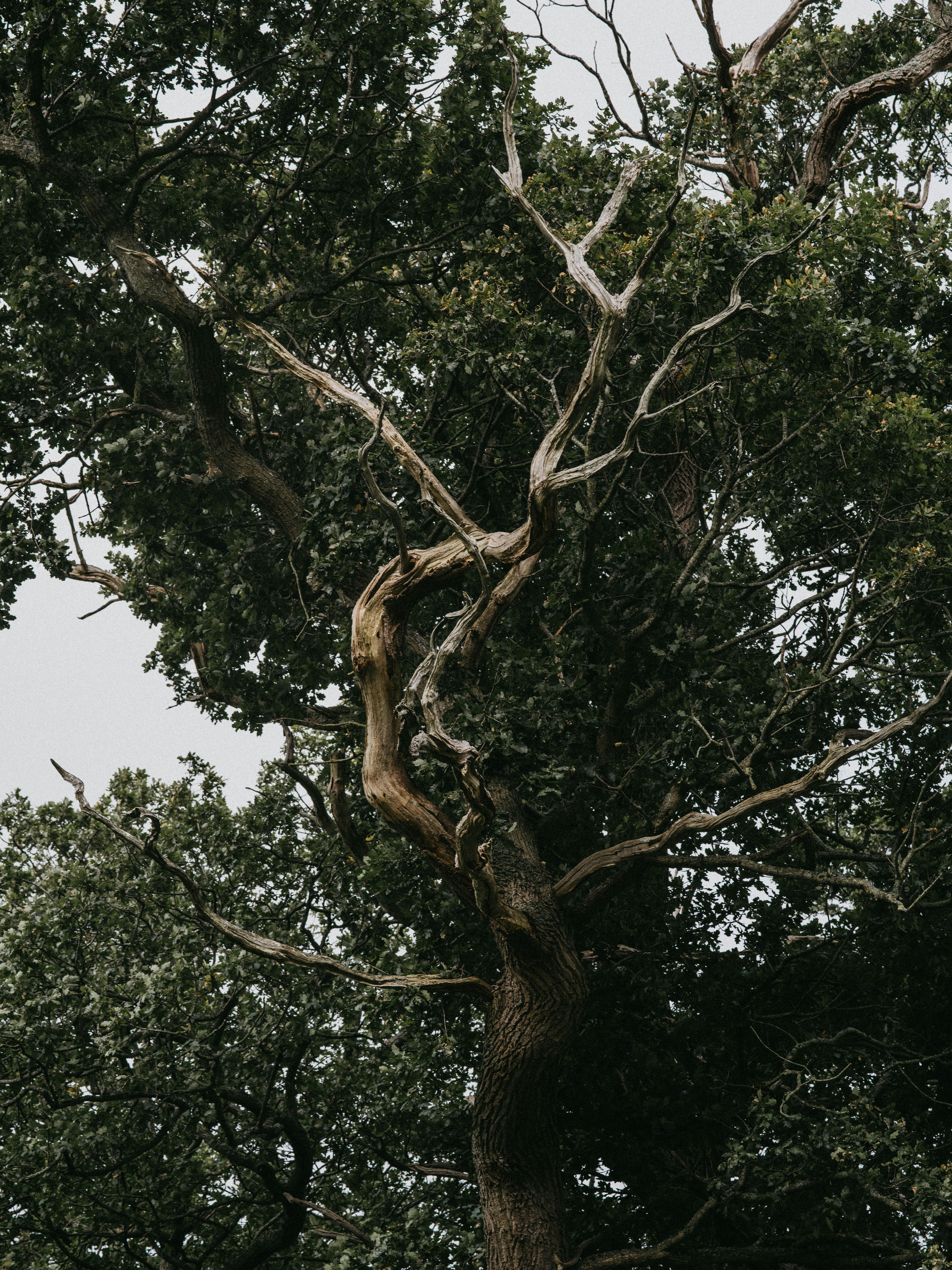 Photo by anniespratt