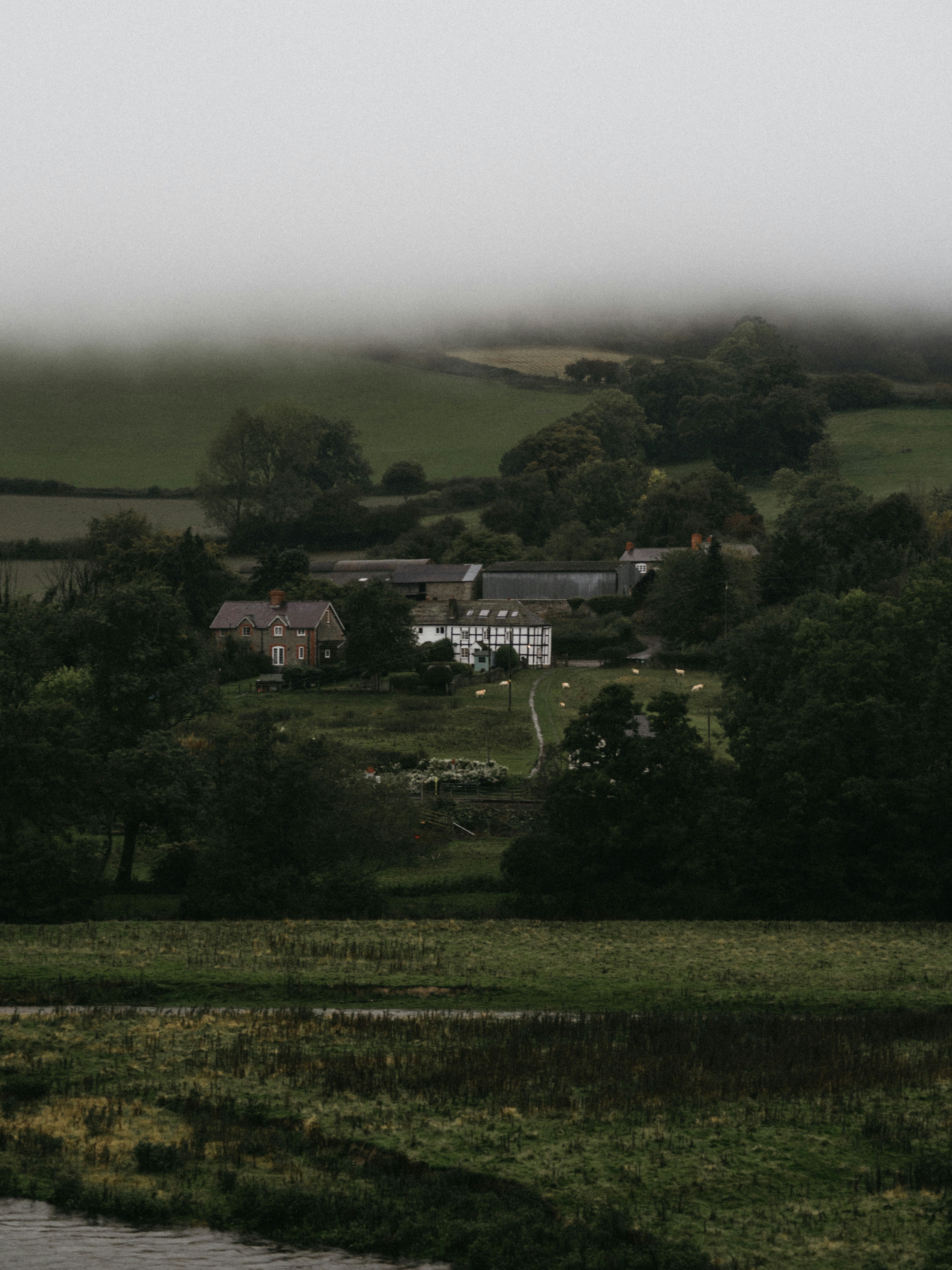 Photo by anniespratt