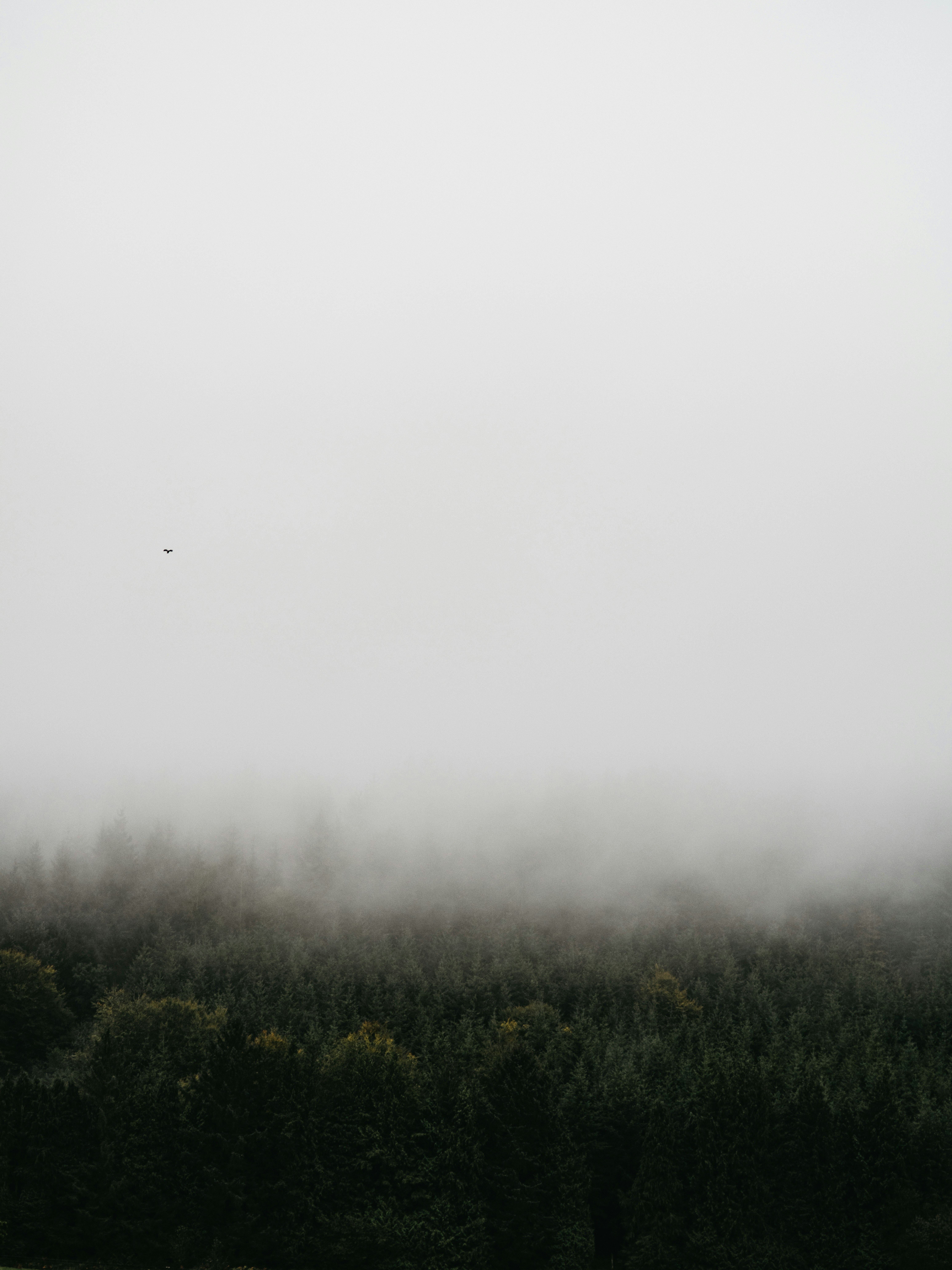 Photo by anniespratt