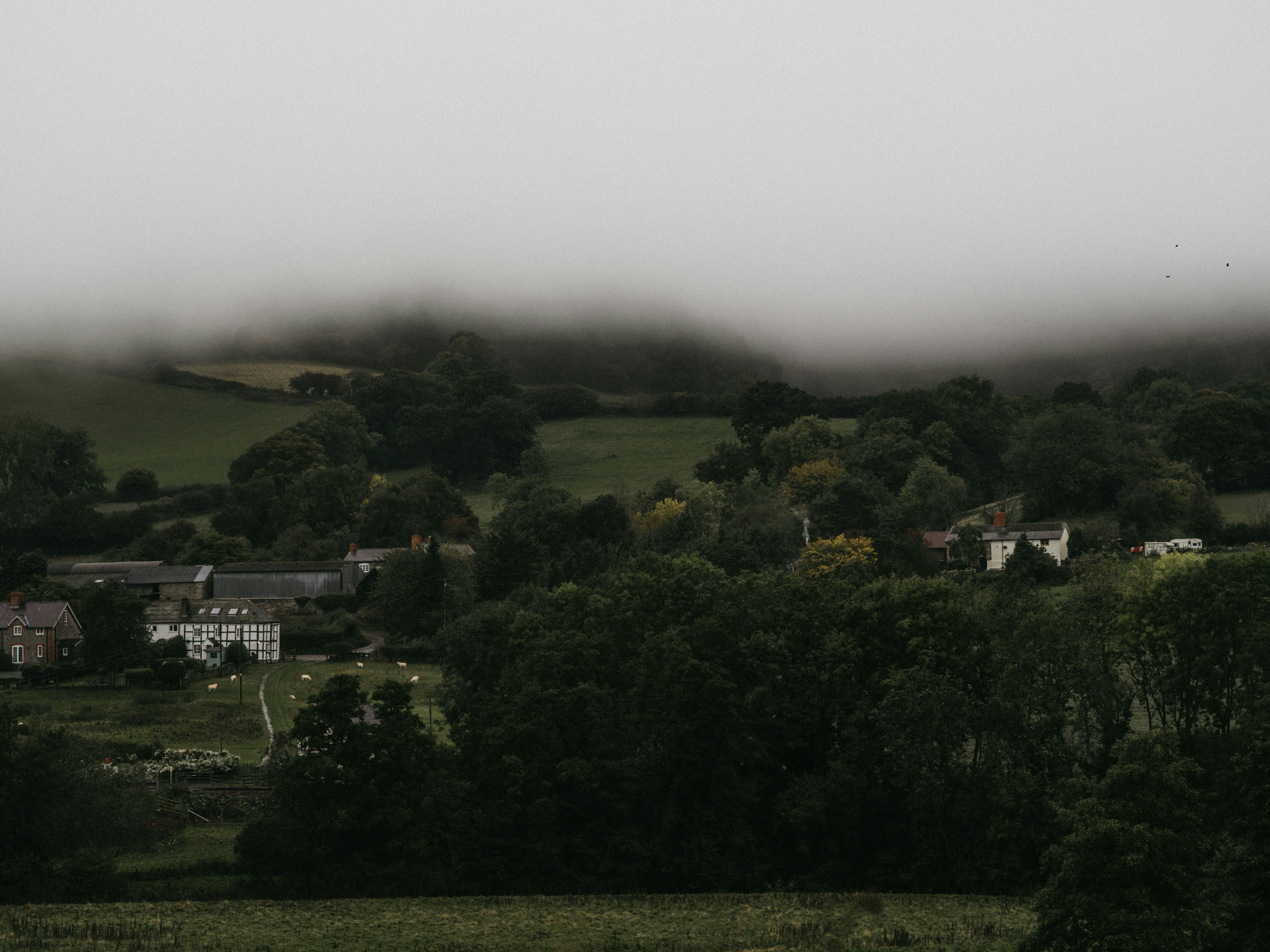 Photo by anniespratt