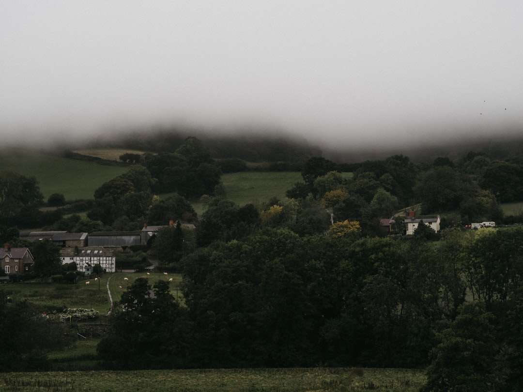 aerial photography of houses on green field surrounded with tall and green trees covered with fogs during daytime