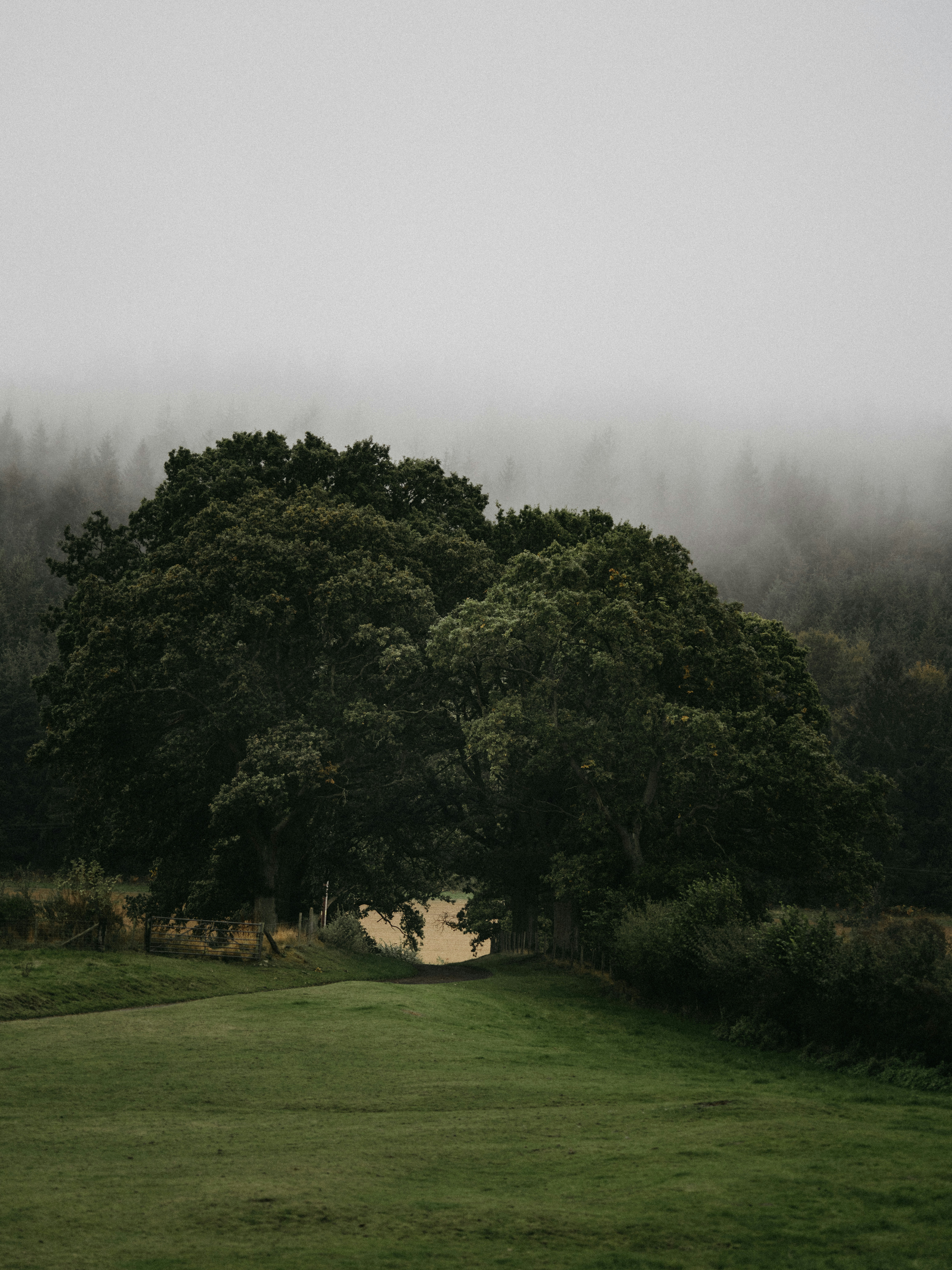 Photo by anniespratt