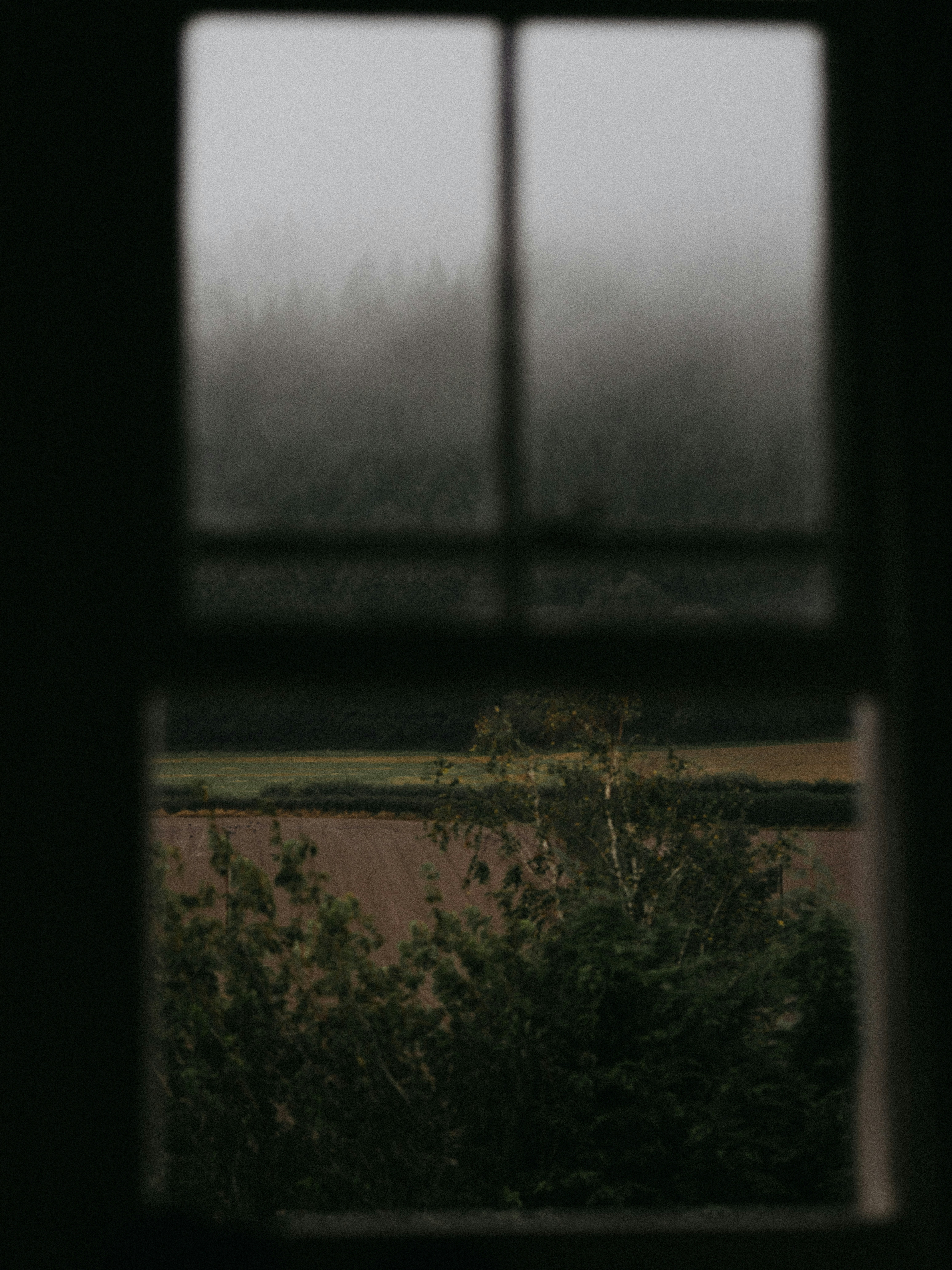 Photo by anniespratt